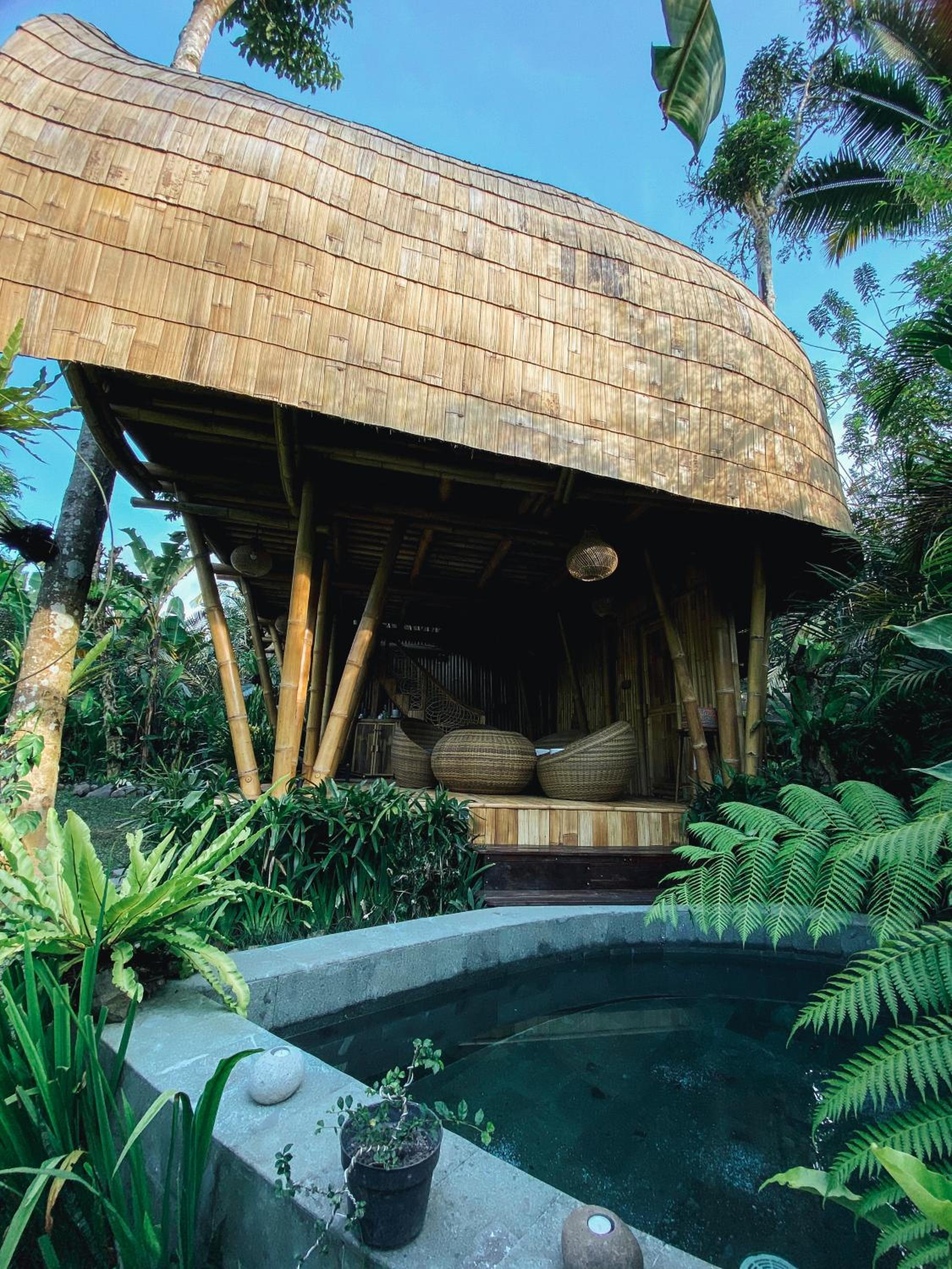 Alamvaya Bali Bamboo House view 5