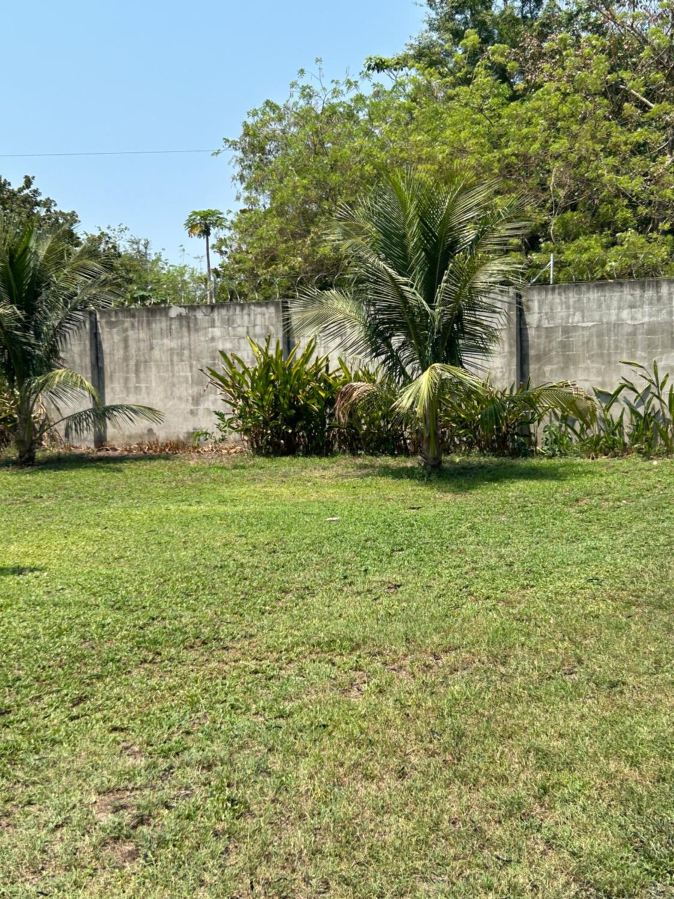 Photo 45