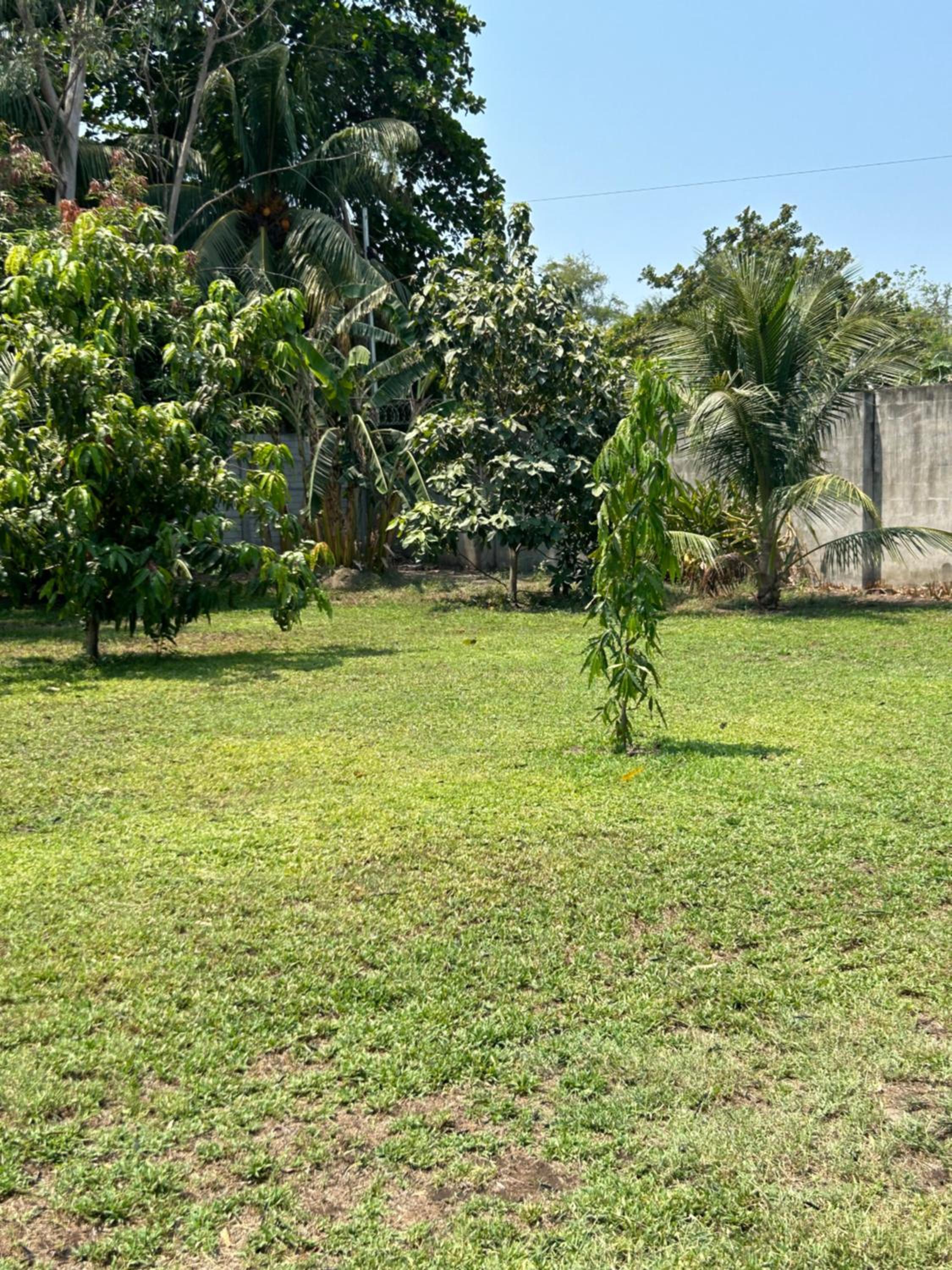 Photo 46