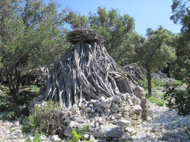 Photo 42
