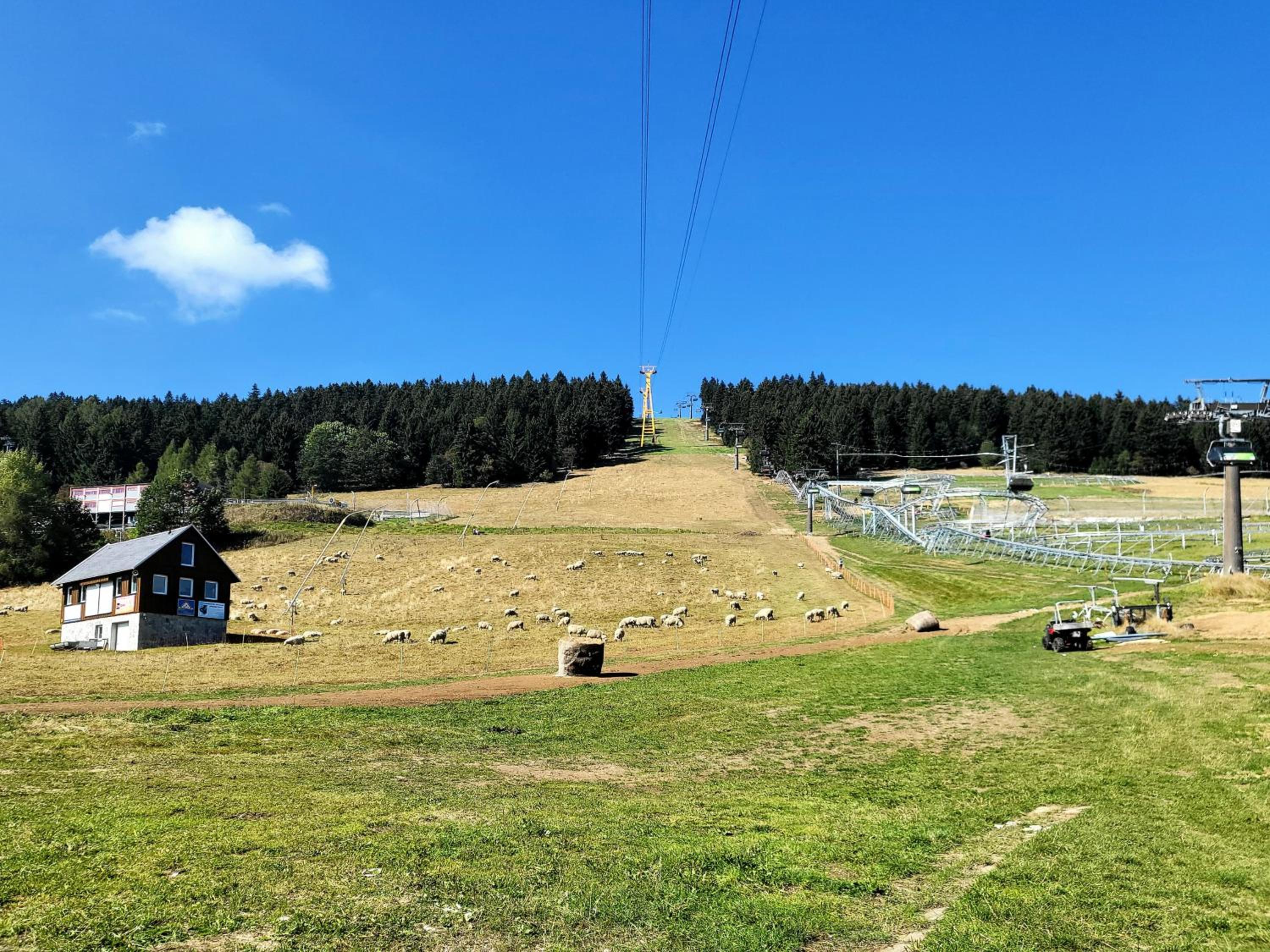 FeWo Bergblick - Oberwiesenthal - Property Image 12