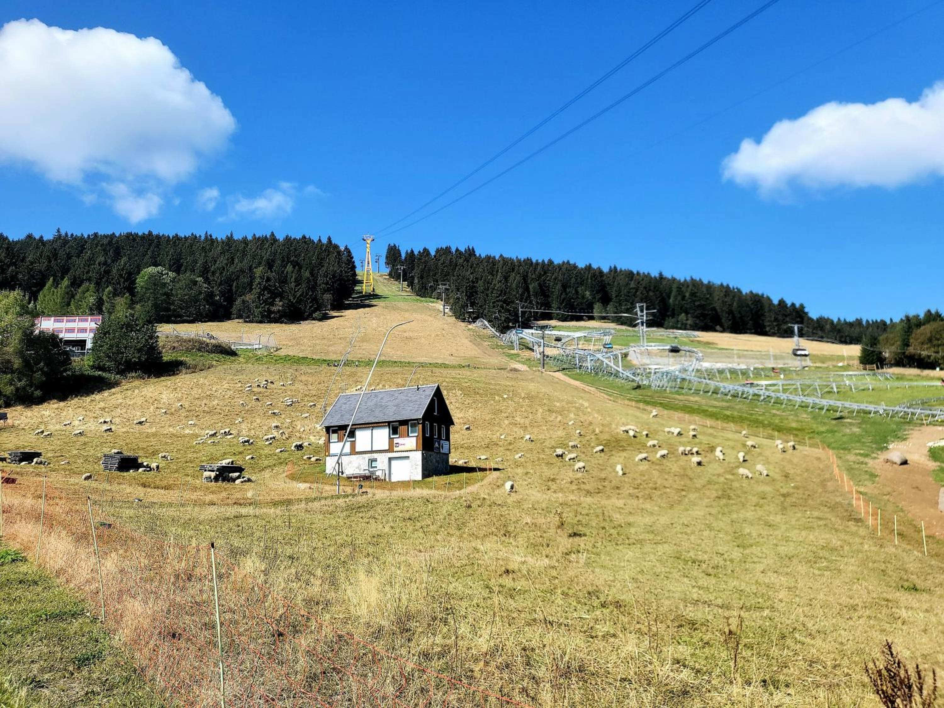 FeWo Bergblick - Oberwiesenthal - Property Image 14