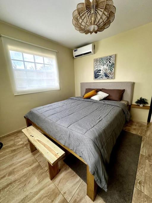 Cozy 3 Bedroom 2 bath home with patio