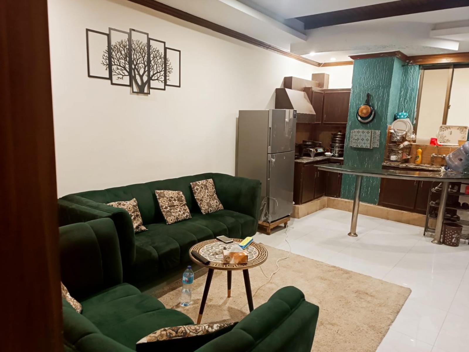 JSF Residency One Bed Apartment view 2