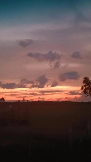Disfruta el encanto llanero