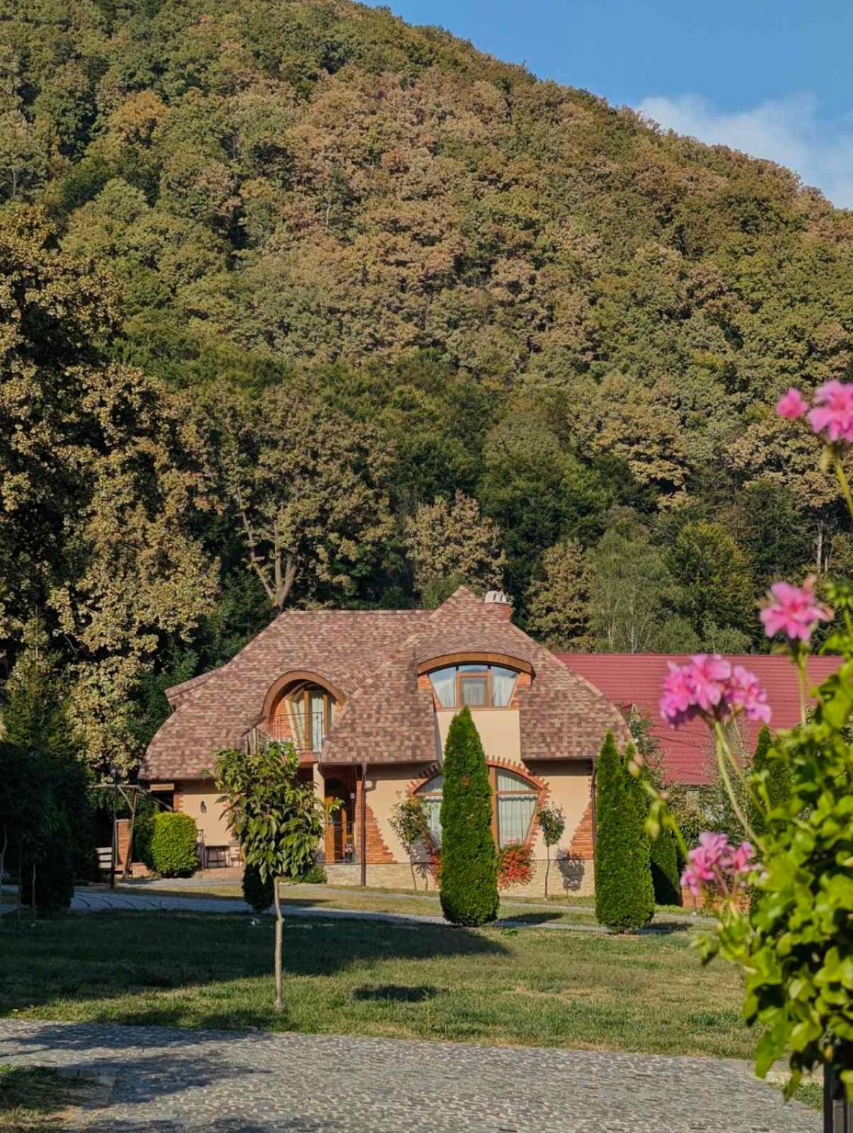 Chervona Ruta