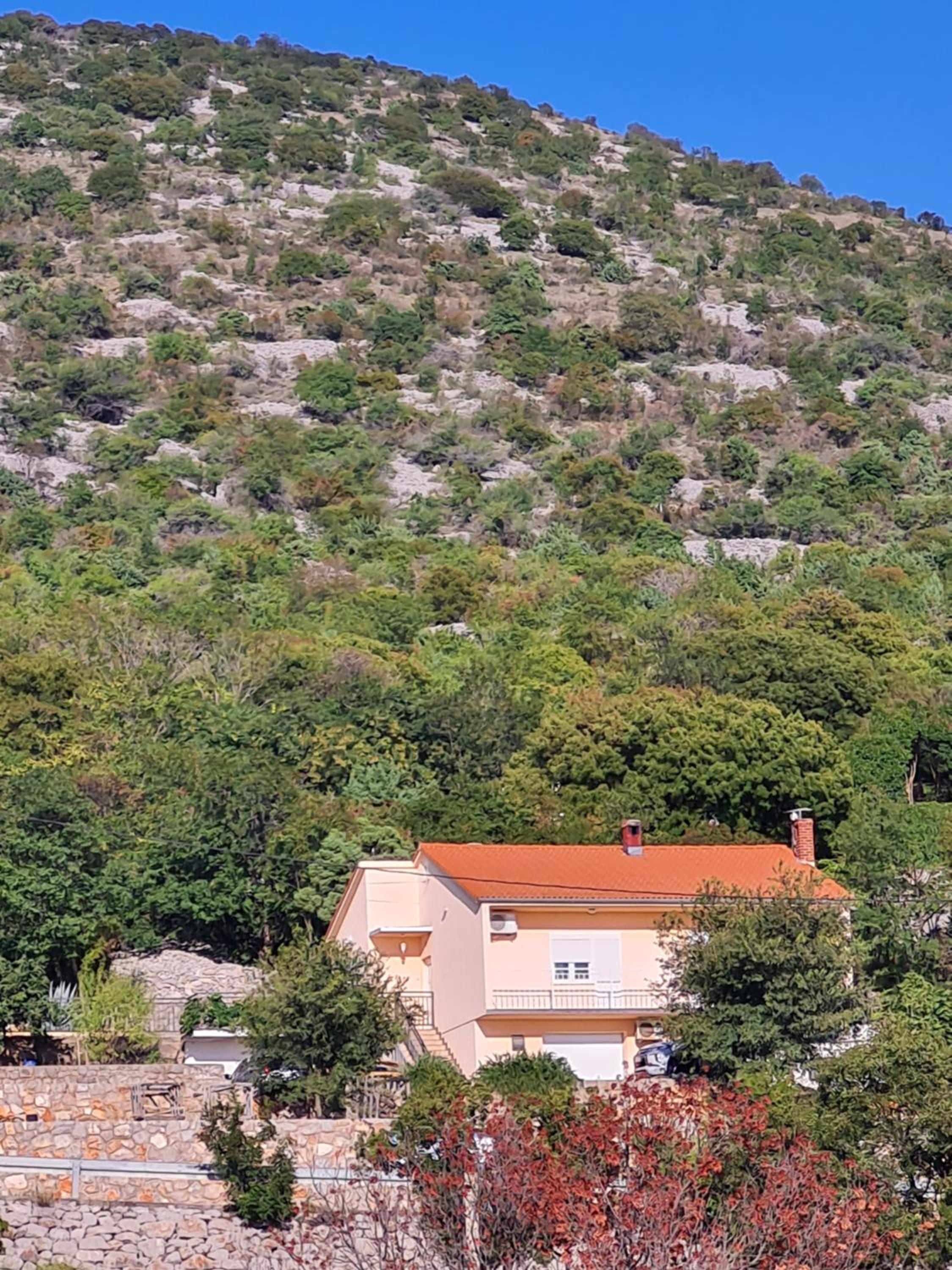 APARTMAN LUKA