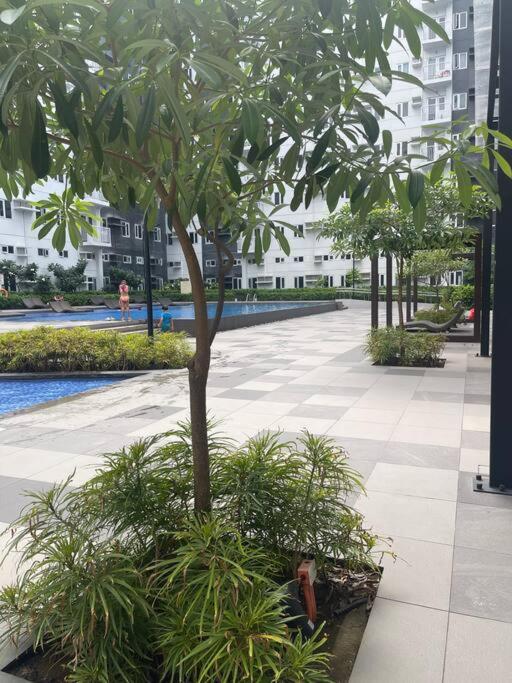 A & Y Staycation view 5
