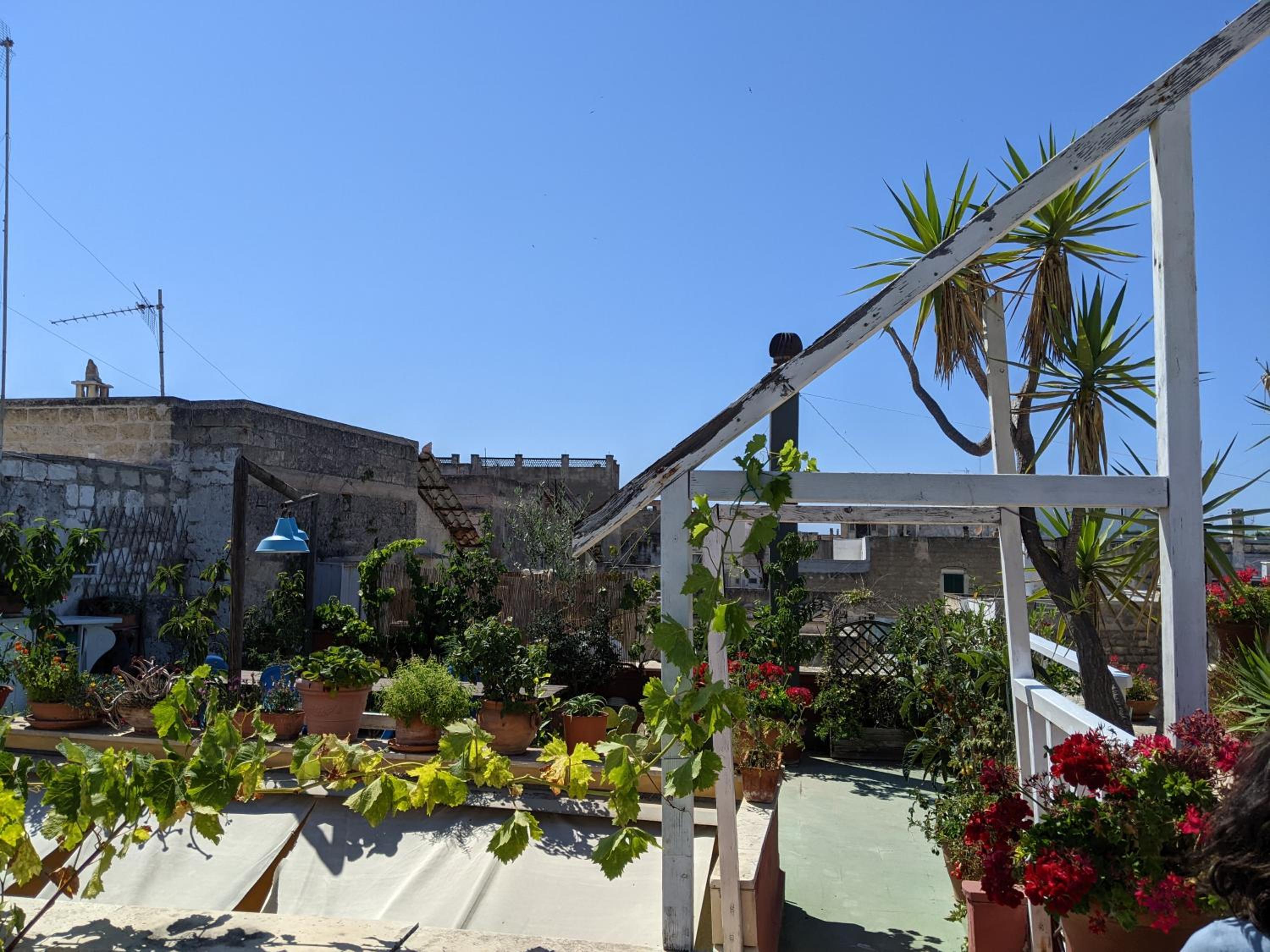 roof