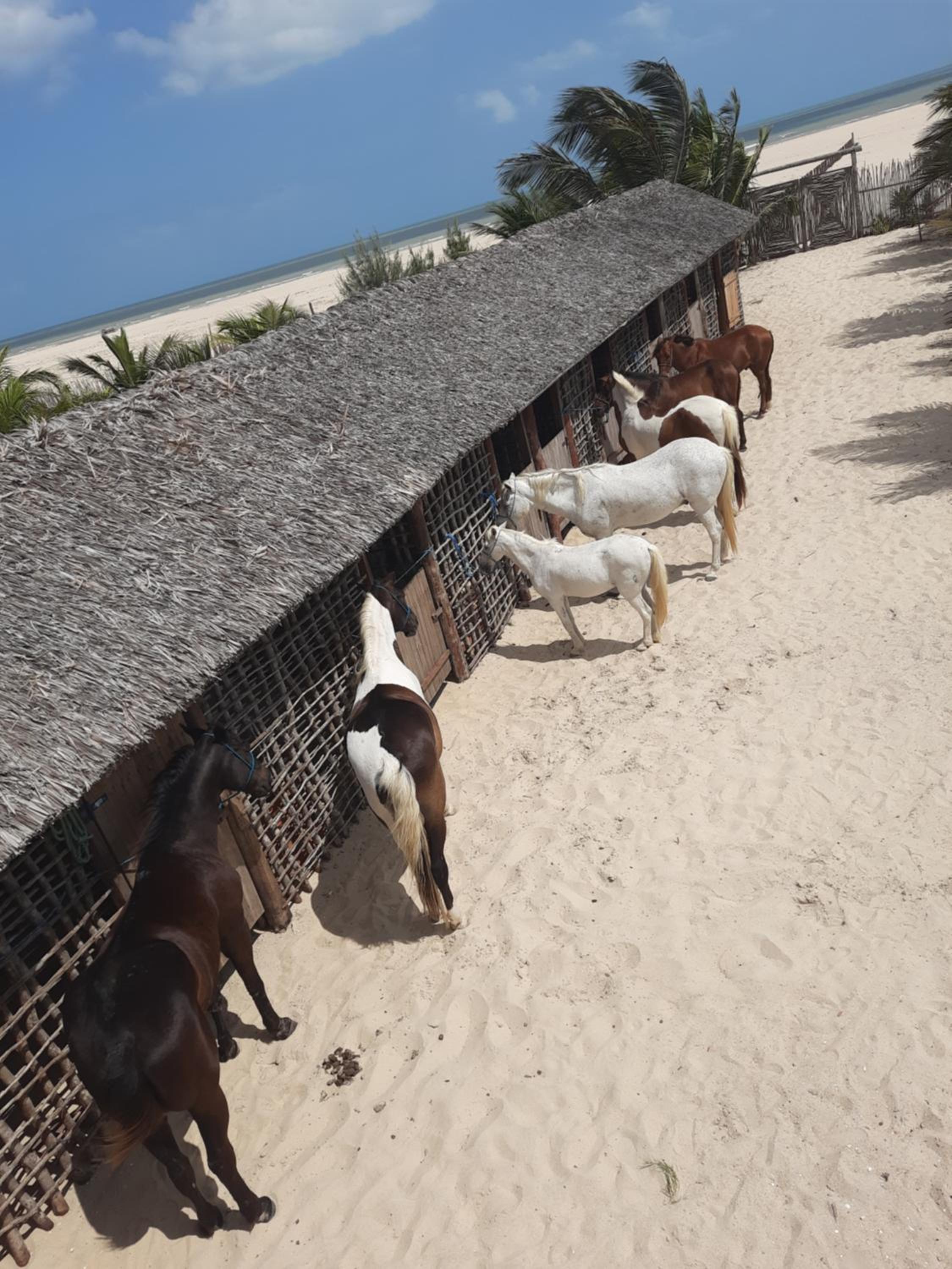 Vila Ascensão