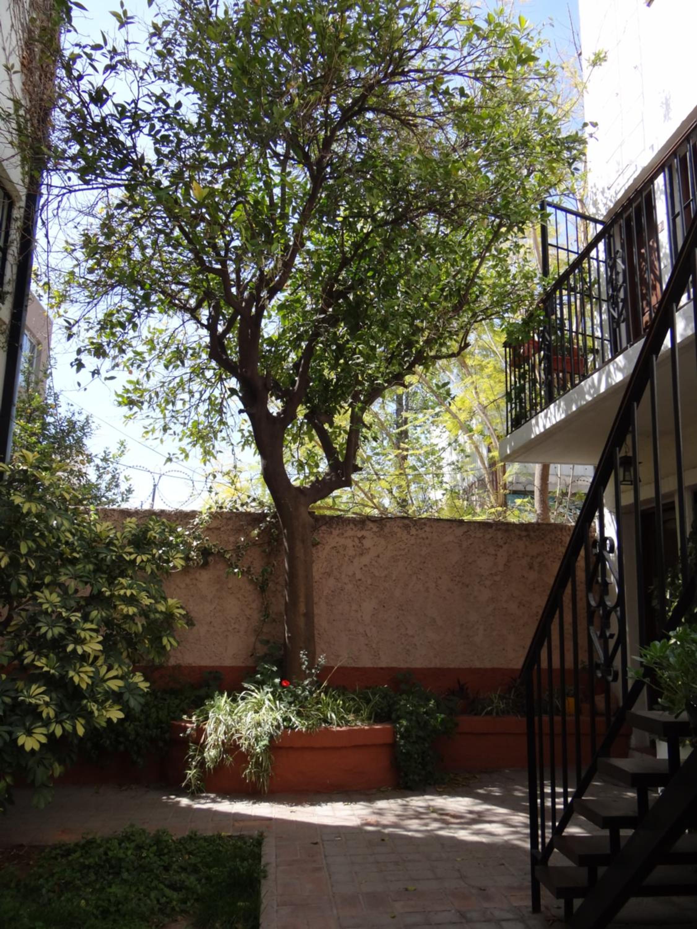Departamento Completo en la 5ta Sección