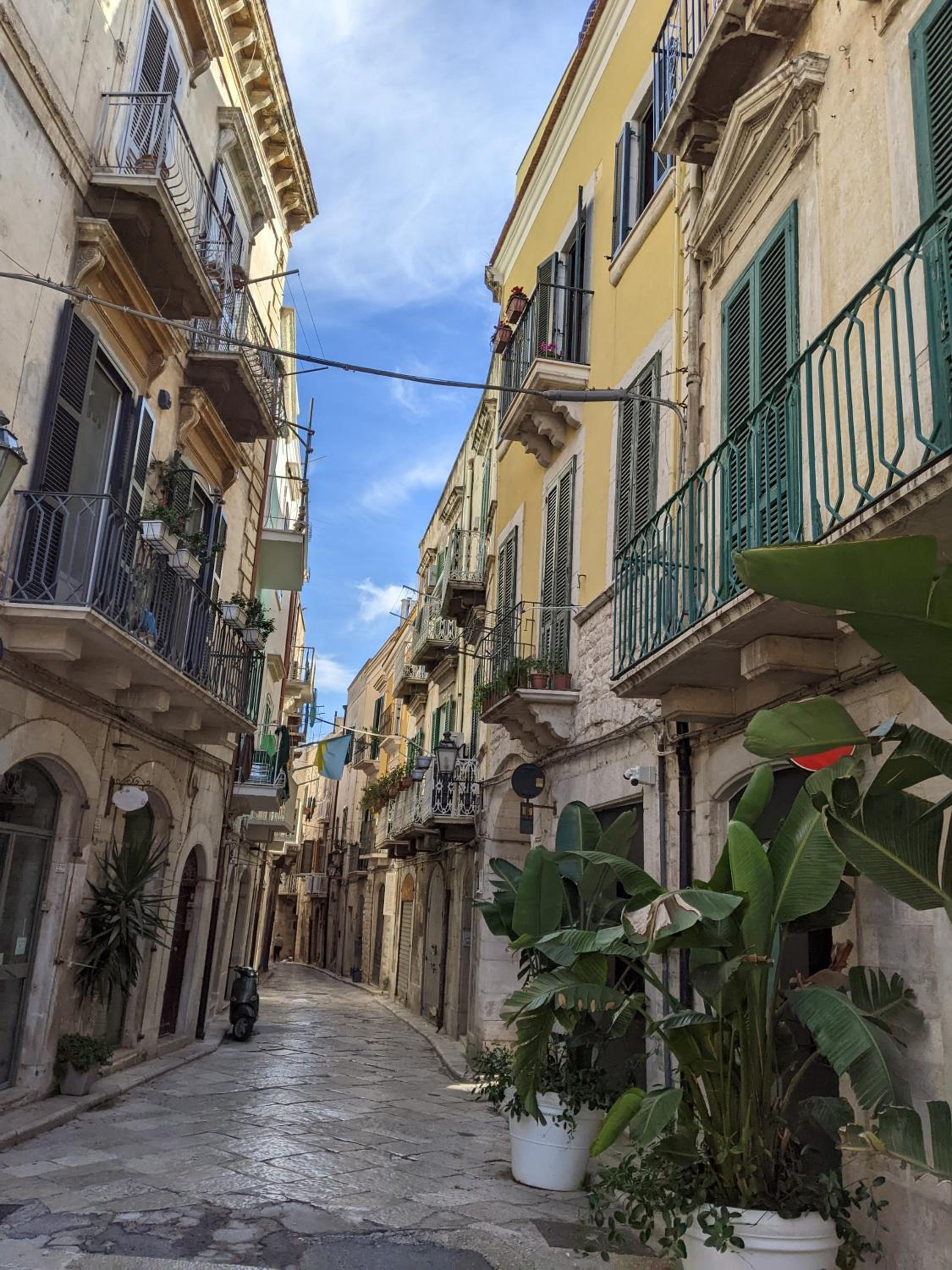 La Fenice - Splendore view 4