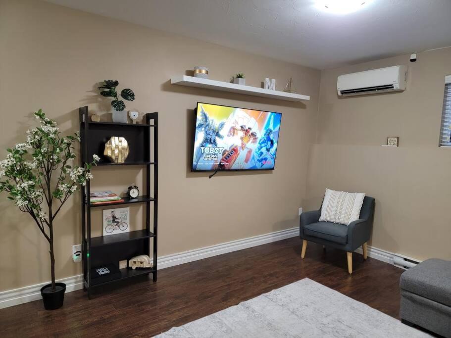 Cozy basement in the city