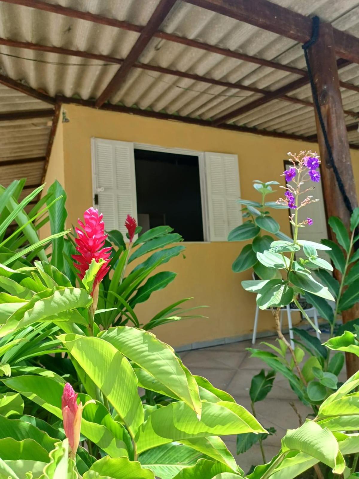Recanto das Flores - Paraty Mirim