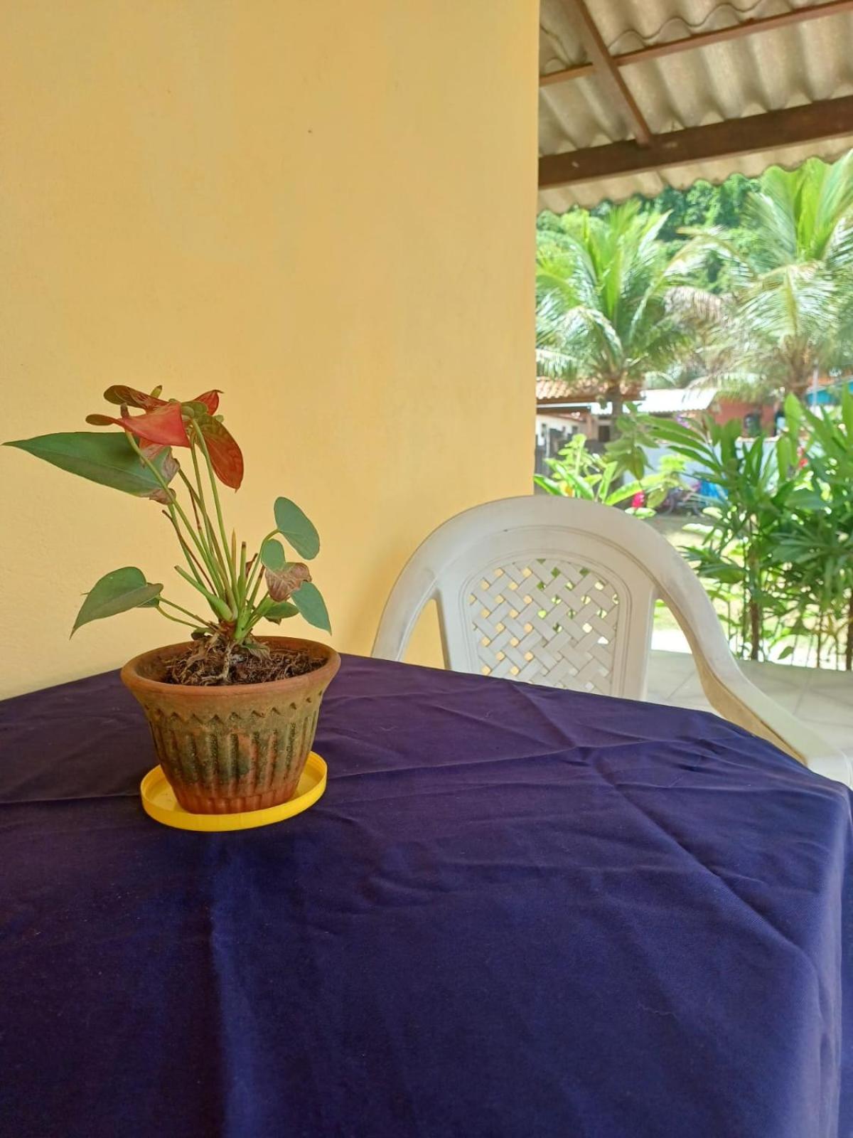 Recanto das Flores - Paraty Mirim