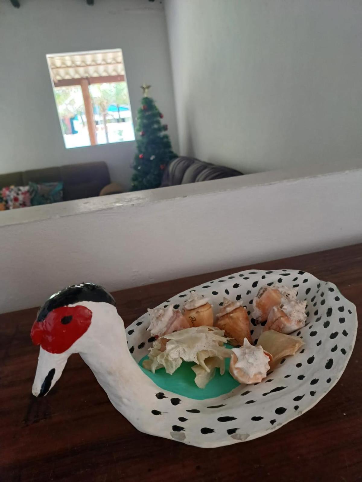Recanto das Flores - Paraty Mirim
