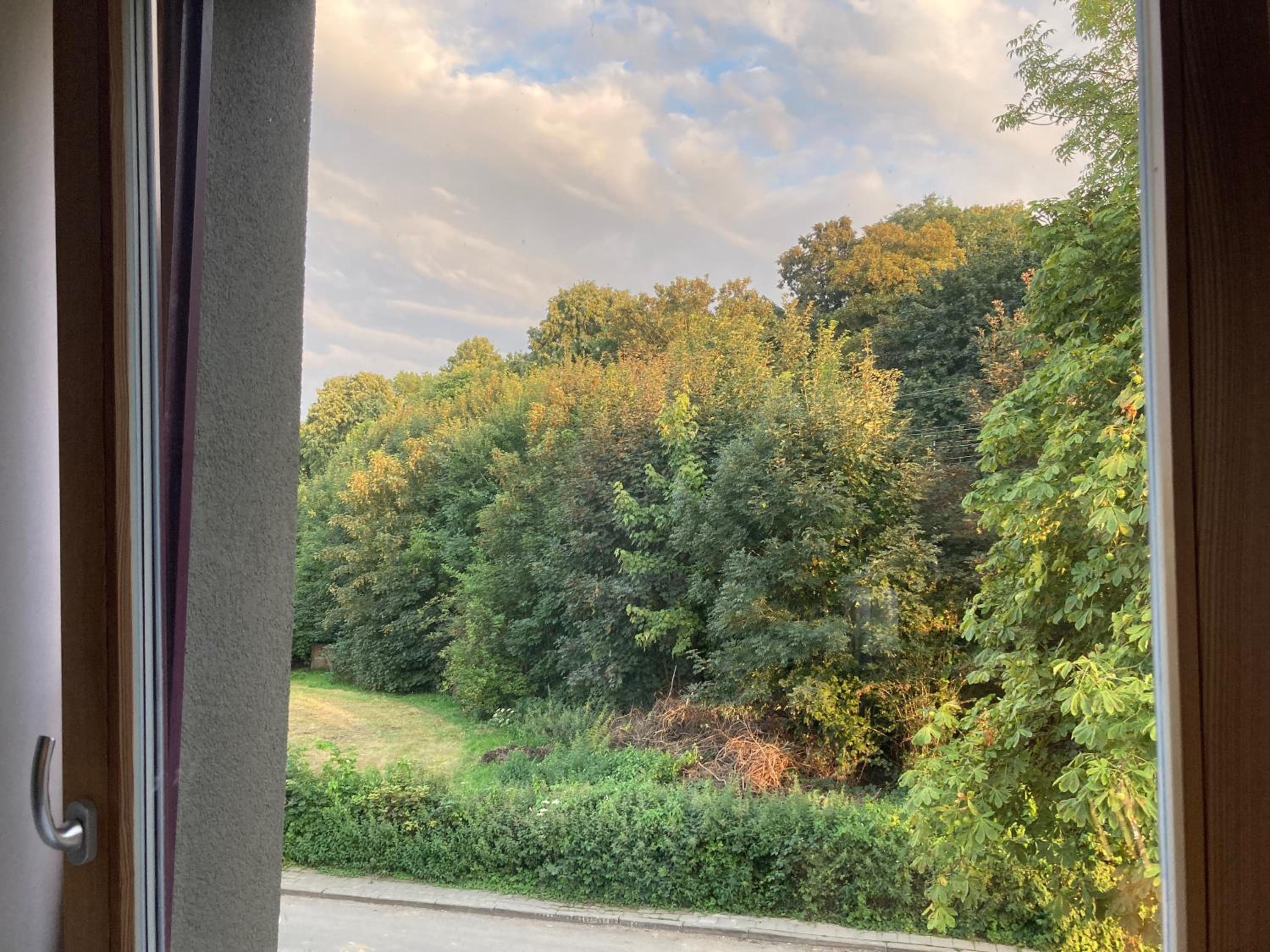 Nice flat near Brussels