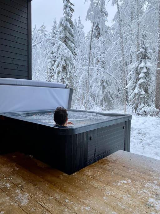Exclusive Nordic Cabin Resort - 5 New Cottages on One Private Propert - Sleeps 40