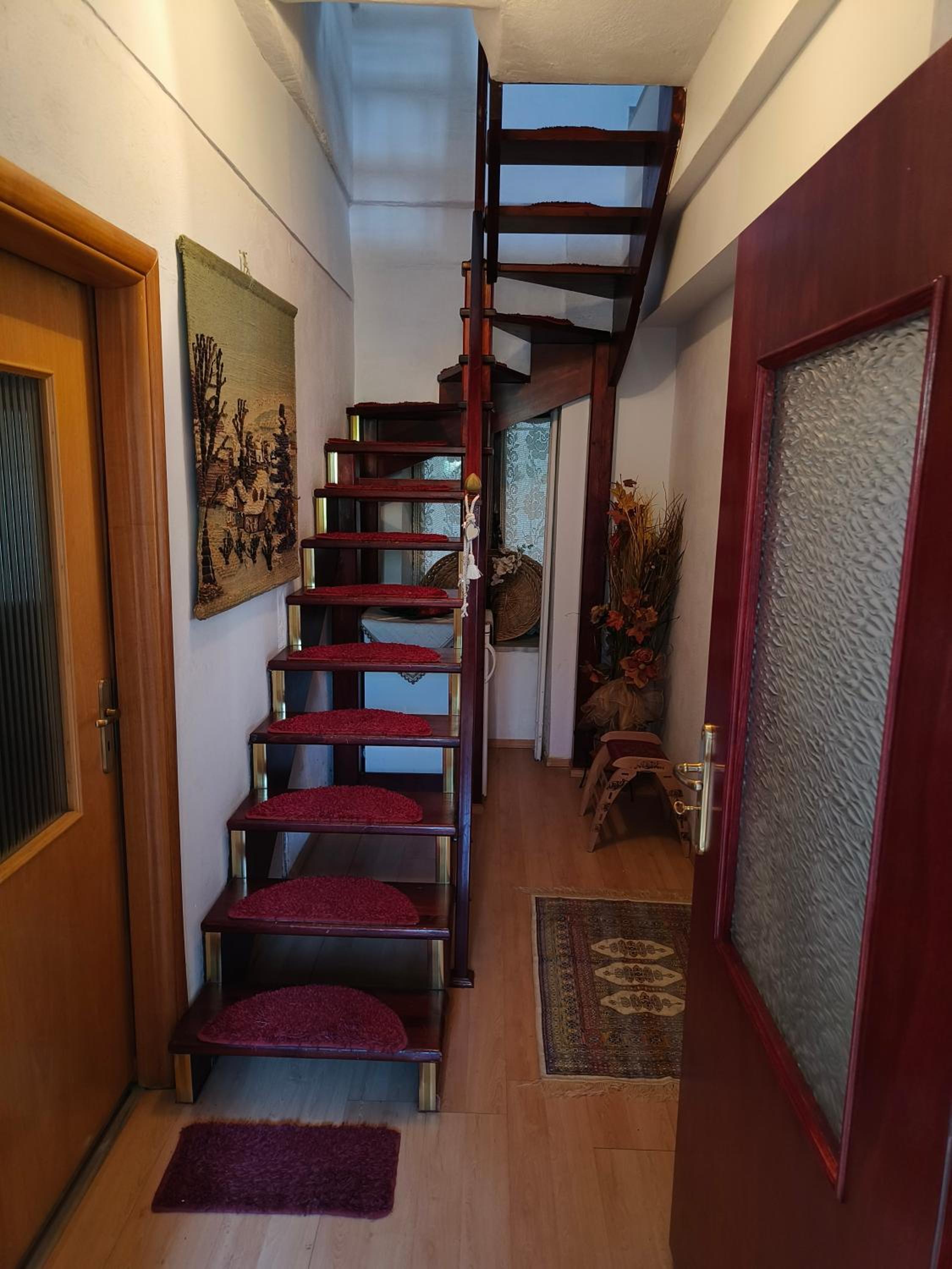Anilion Escape