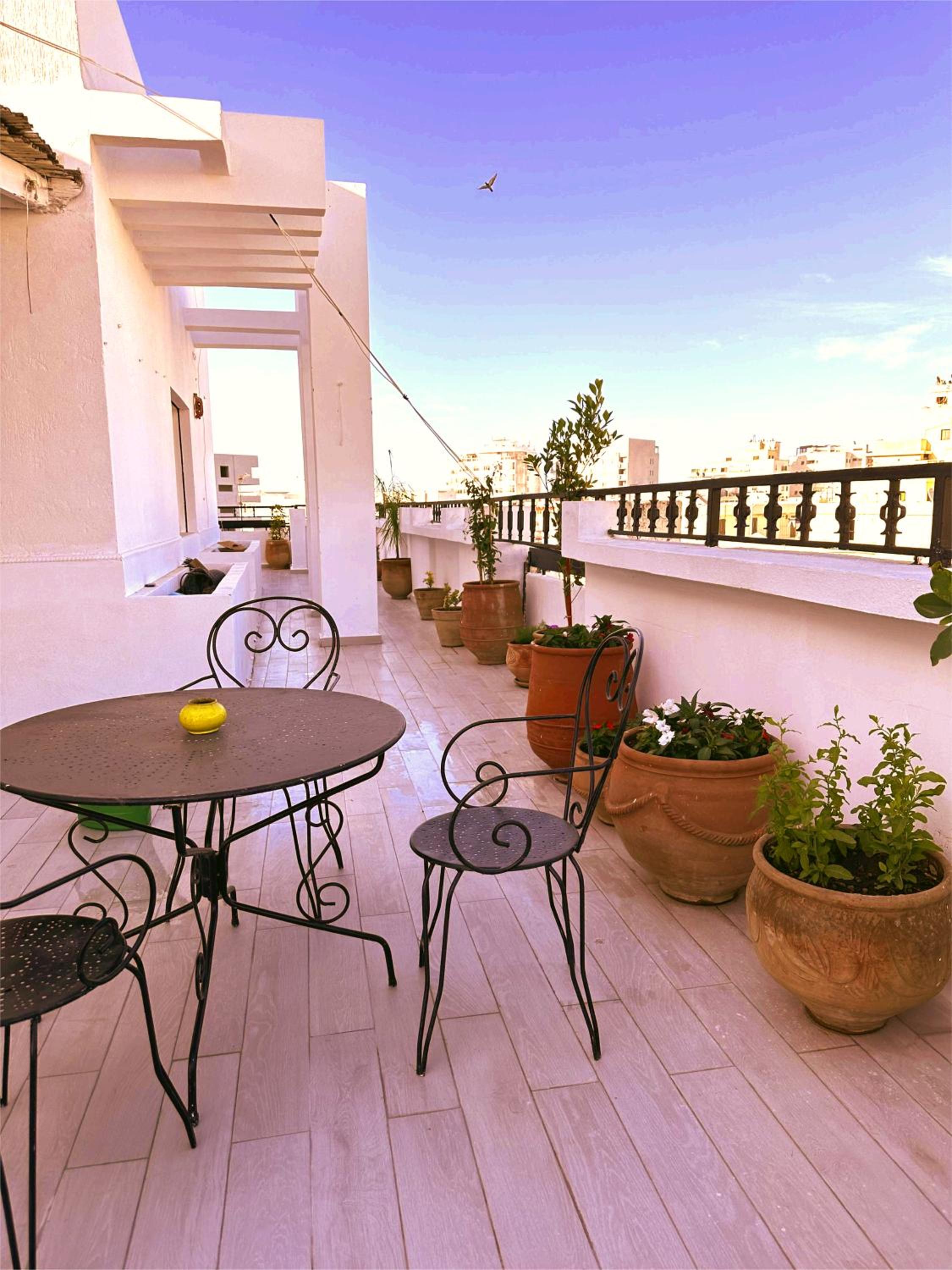 balance & terrace