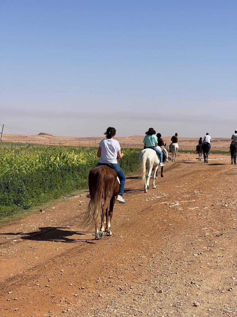 HABIB Farm