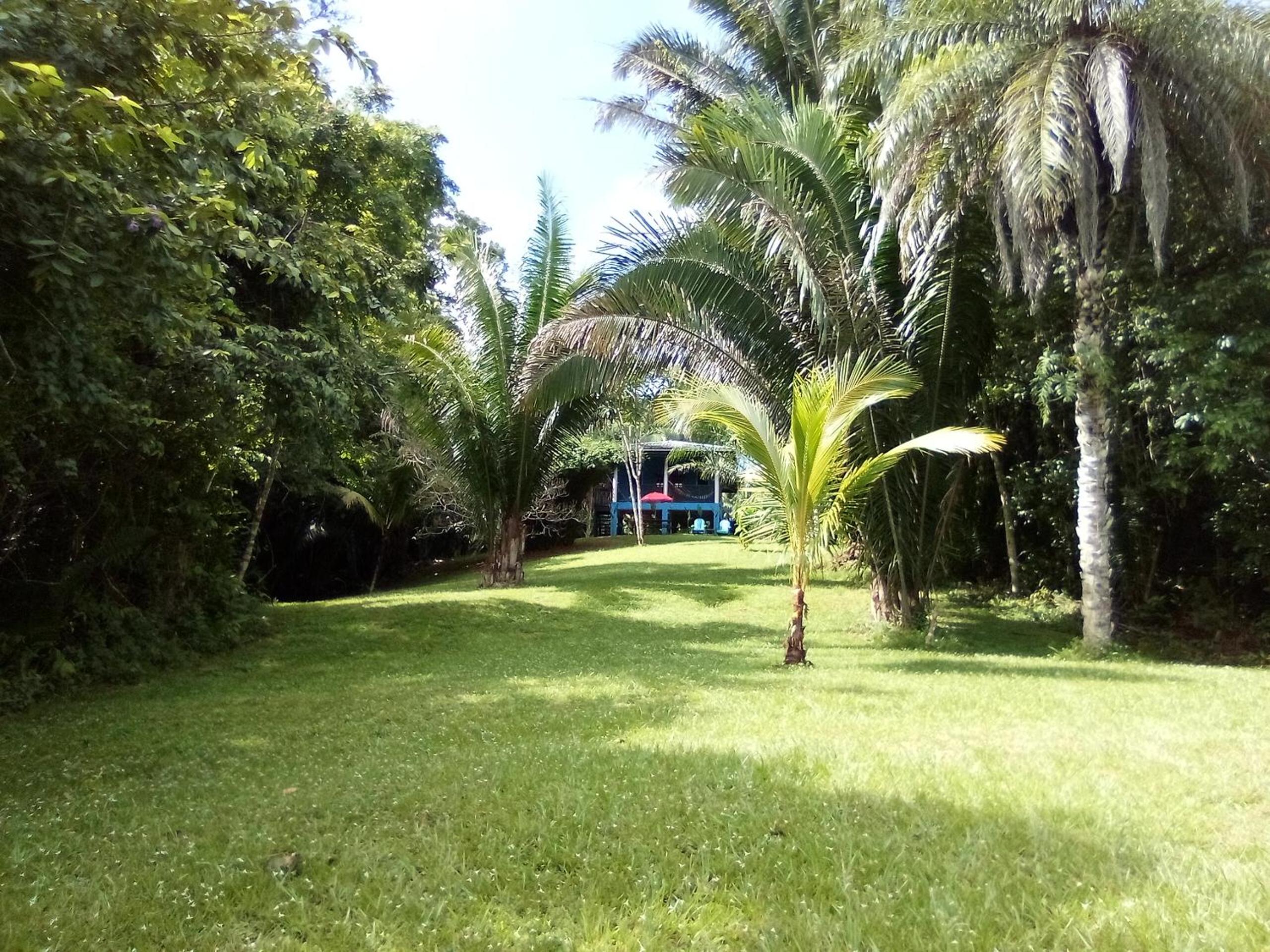 Oasis - formerly Inn the Bush