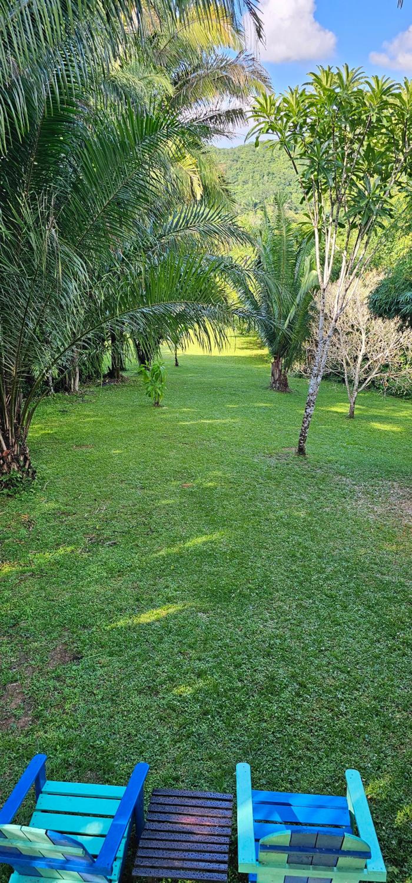 Oasis - formerly Inn the Bush