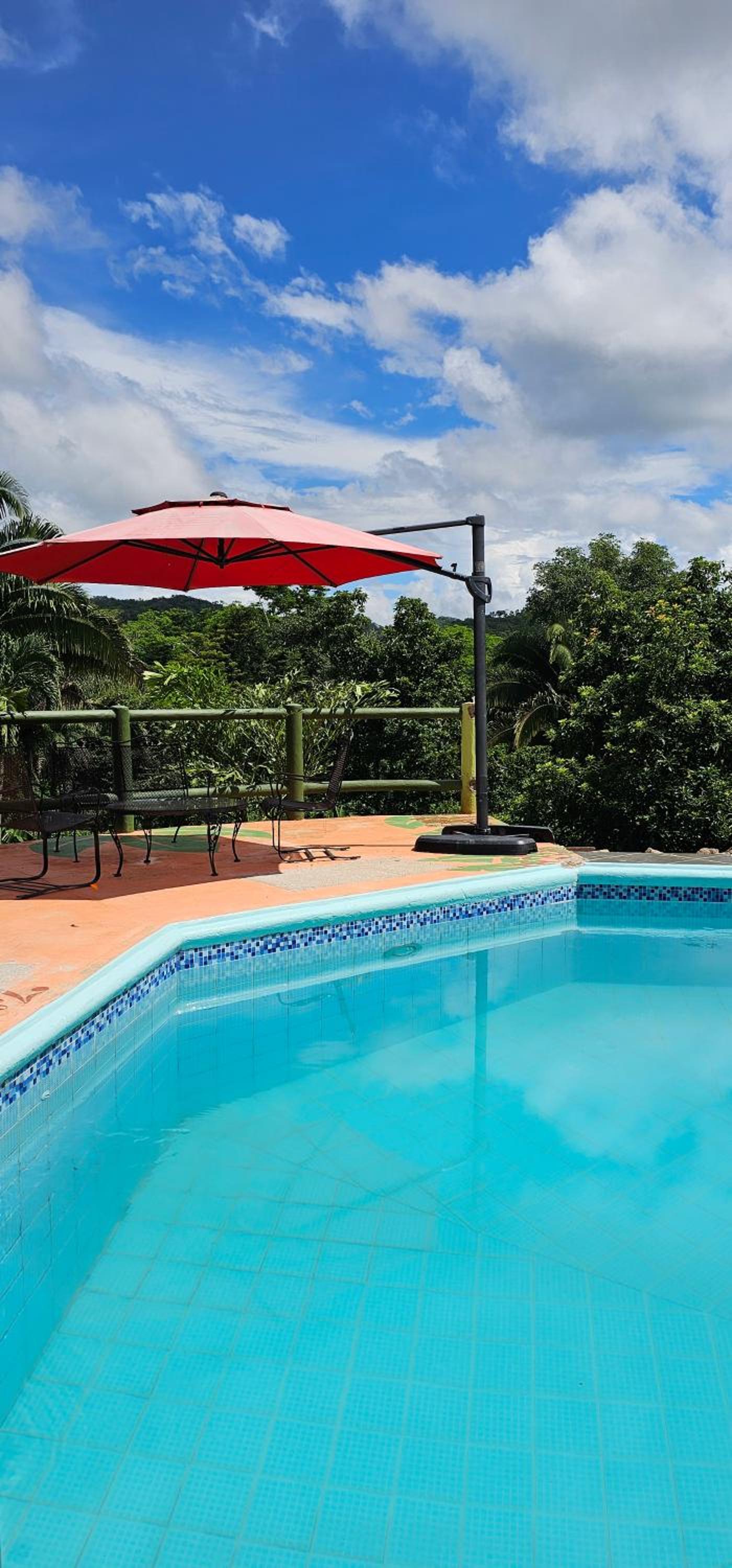 Oasis - formerly Inn the Bush