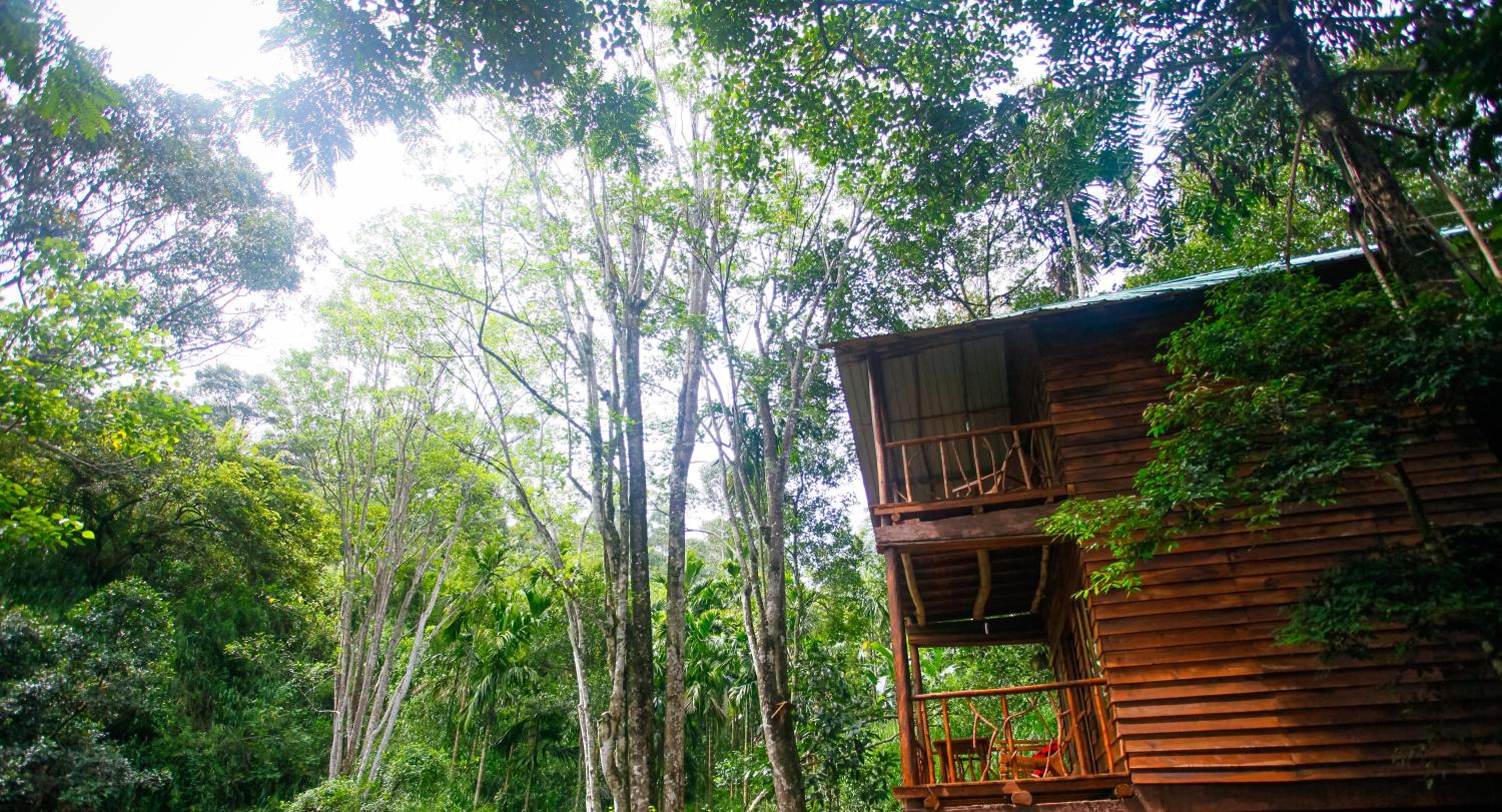 ELLA Eco Lodge, Wellness & Yoga retreat