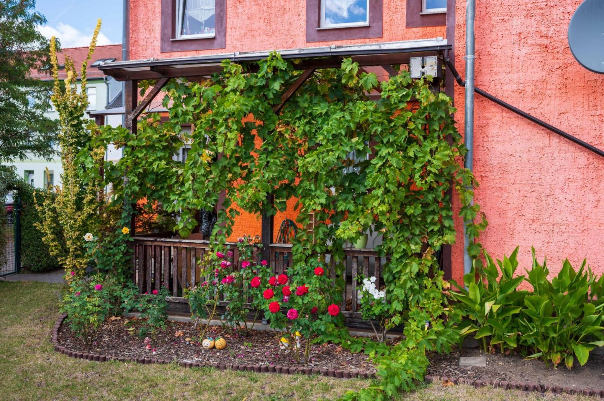 VIK Apartement