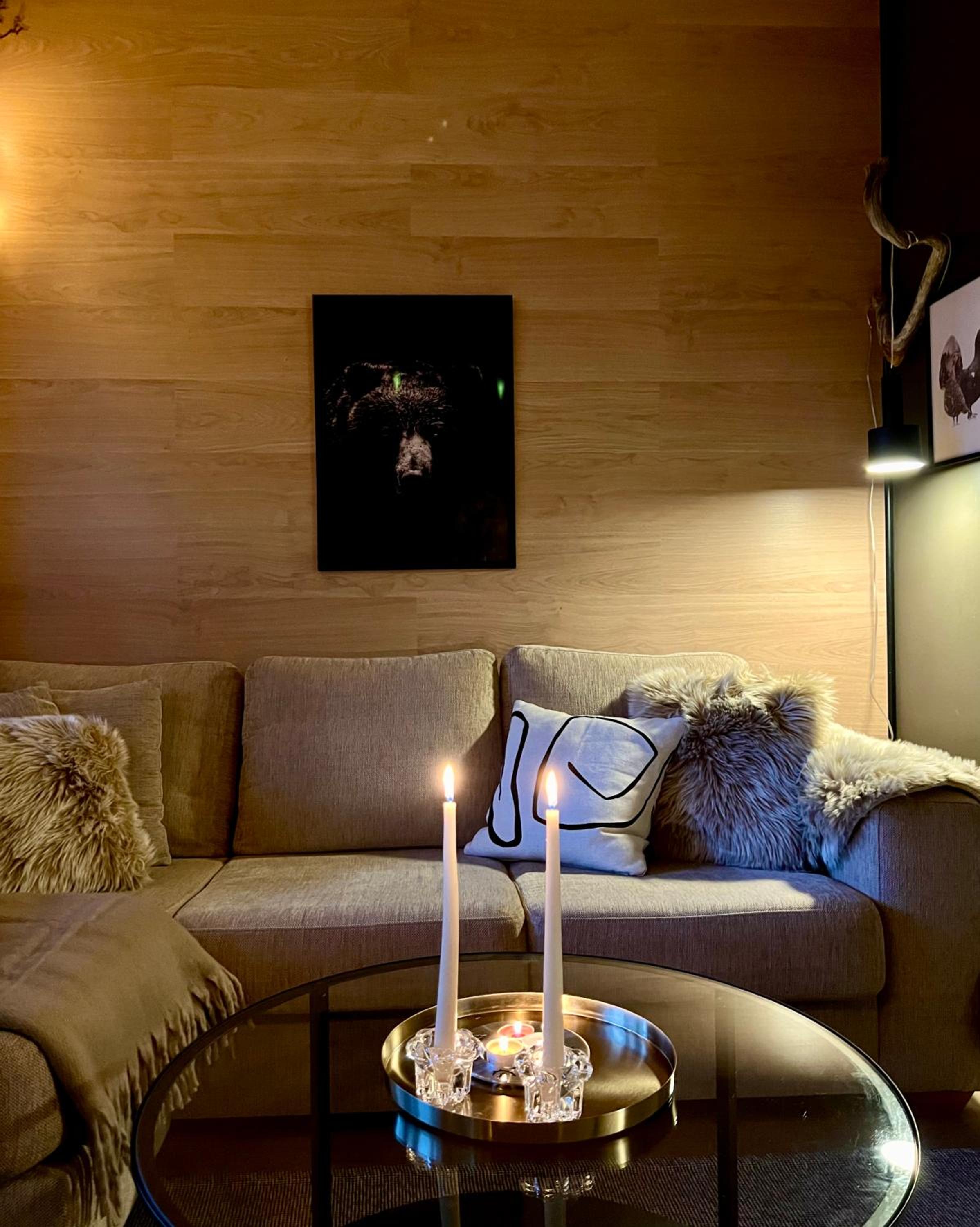 Aurora Lapland Ski in, forest view, 2 bdr, sauna, terrace, fireplace, wifi, Pyhä-Luosto National Park