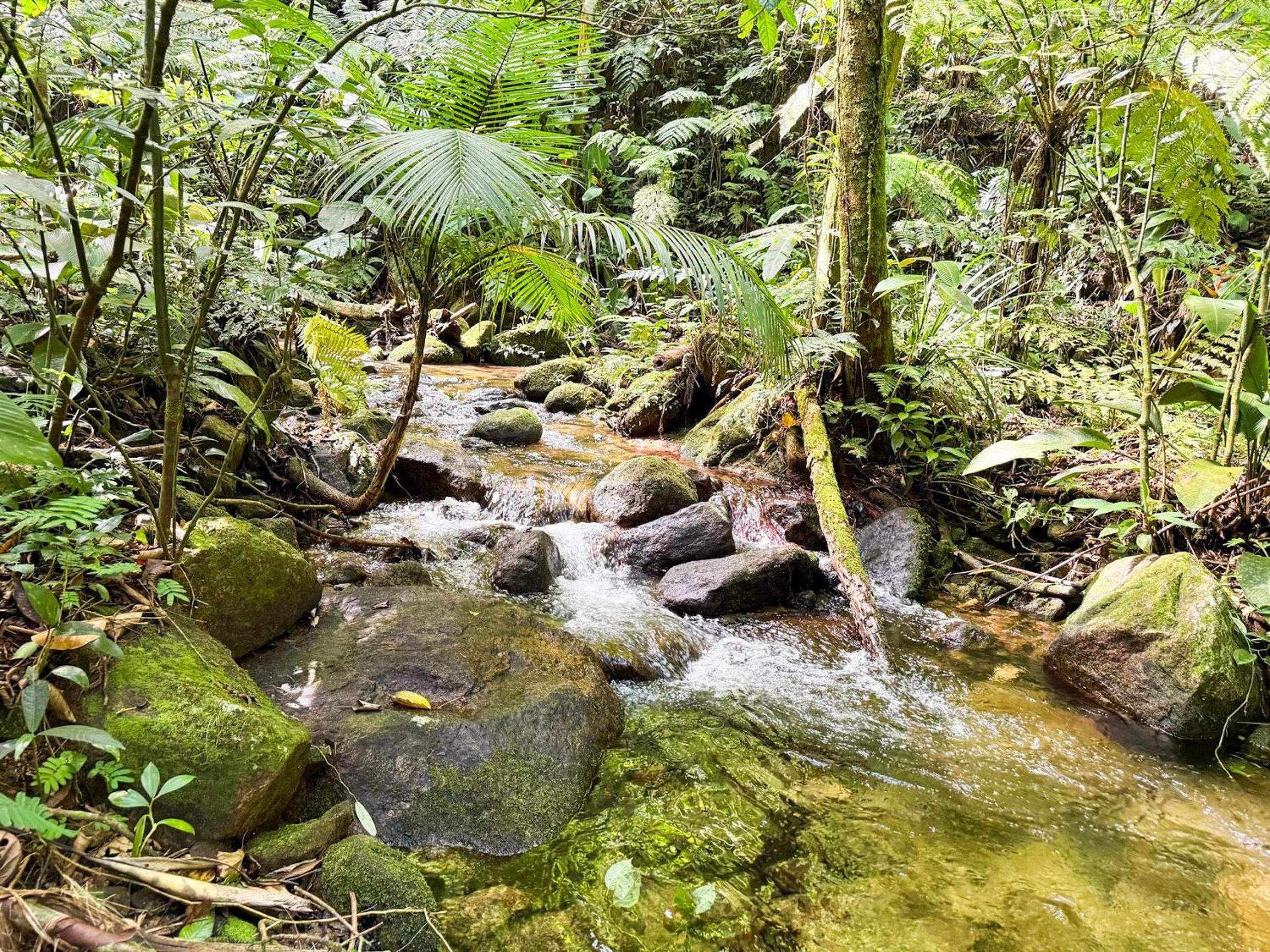 Piscina com ofurô/Churrasqueira/Sinuca e Ping Pong