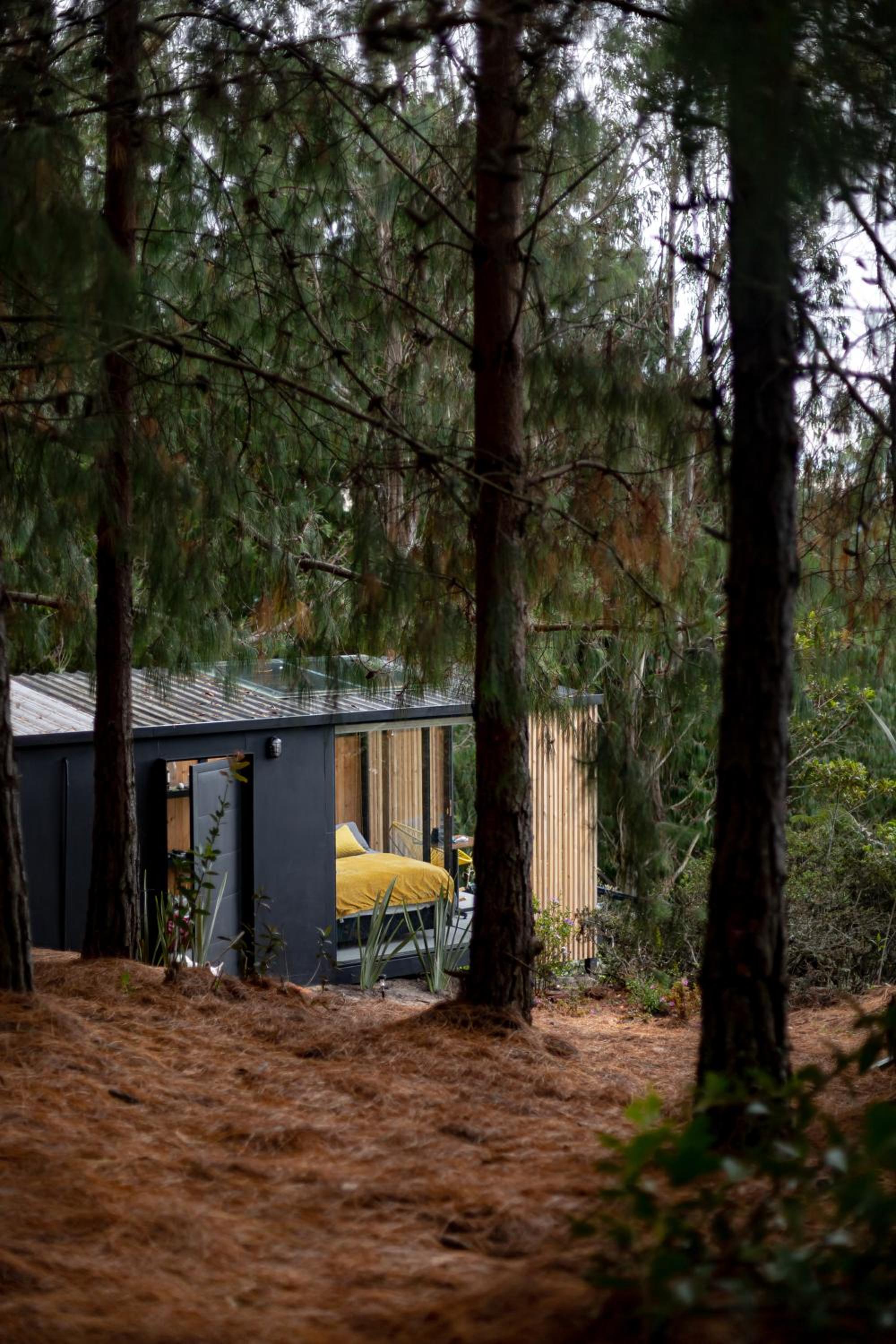Andino Lodge