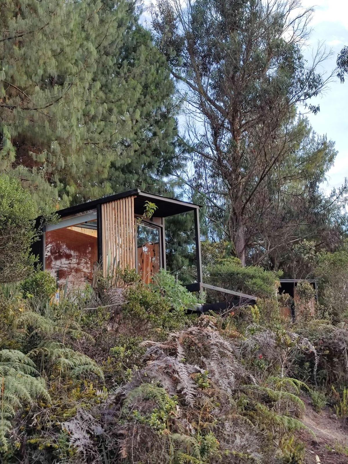 Andino Lodge