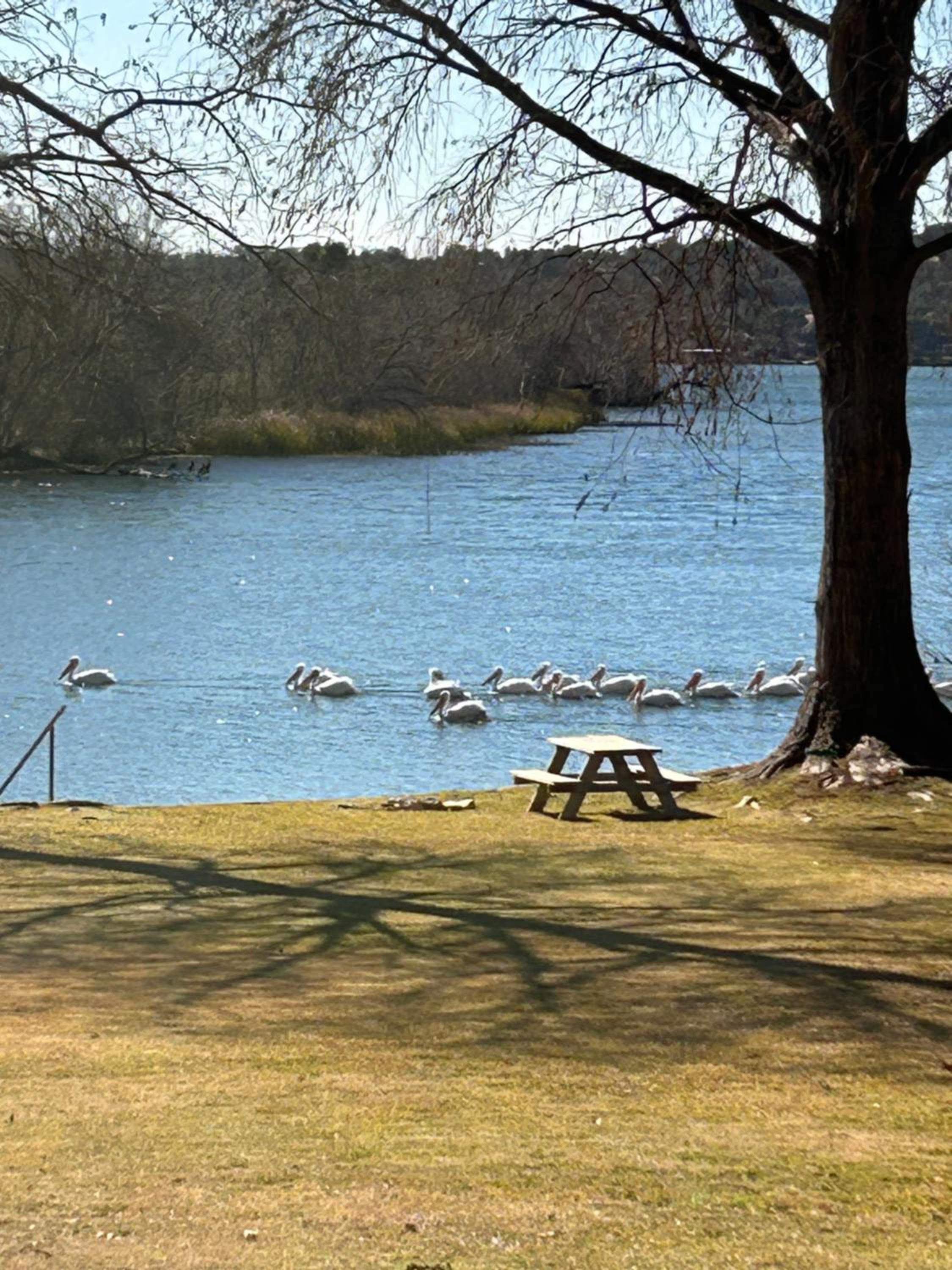 Lakehouse Inks Lake, Texas - Property Image 3