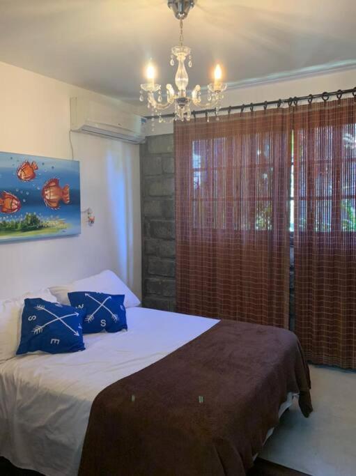 Ape 1 - Jacuzzi e Vista parcial Mar - Bombinhas, SC