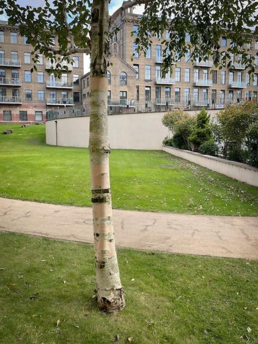 Sensational Saltaire Stay