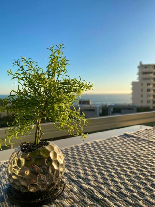 Apt Costa de Montemar, Concón