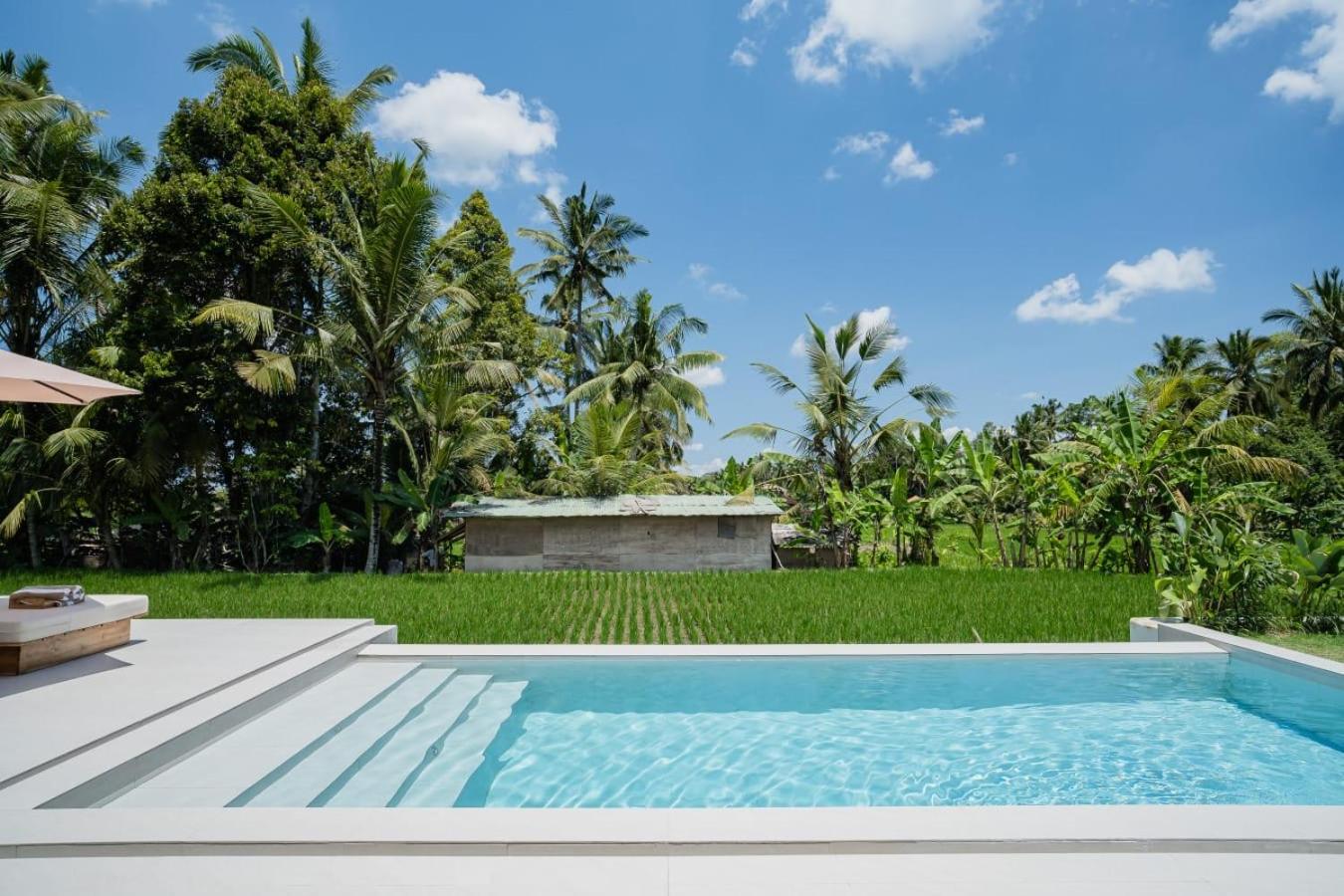 Villa Mayani view 5
