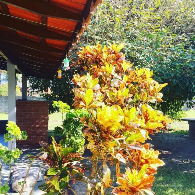Casa Frente Para o Mar - Praia da Juréia - Iguape