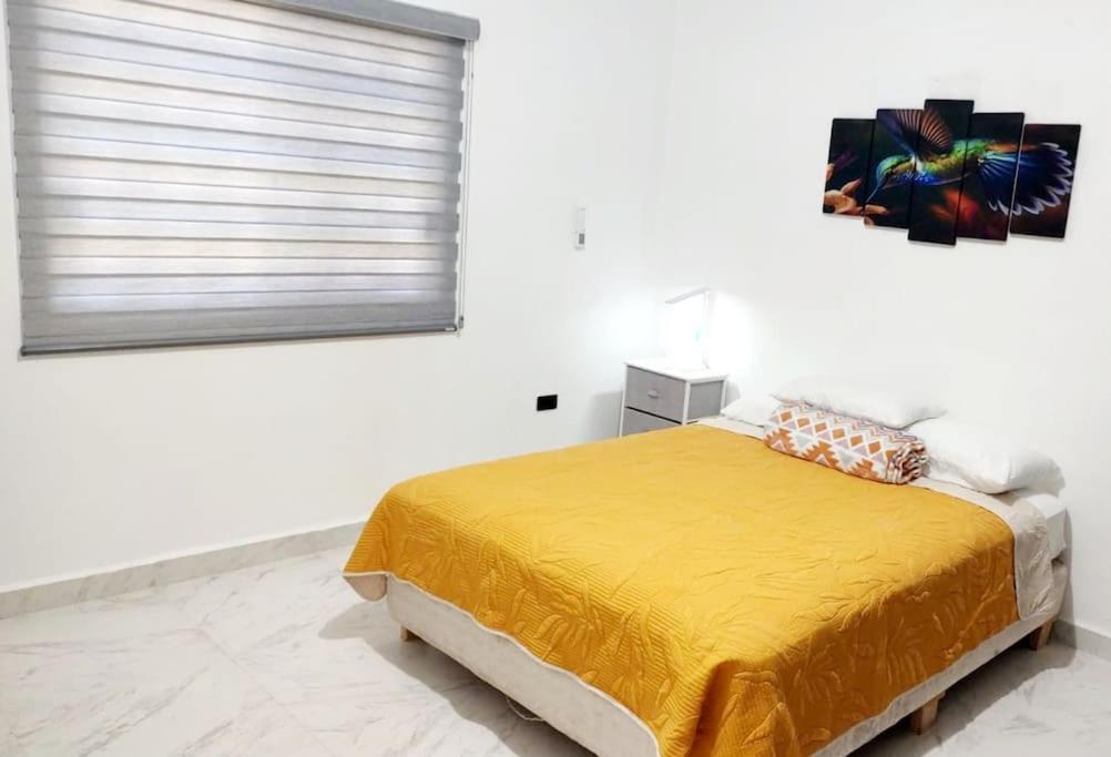 bienvenidos a viko's house view 4