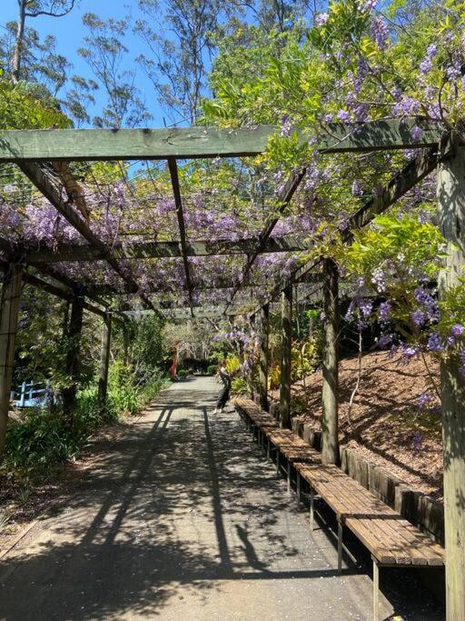 Tamborine Mountain Botanic Garden House