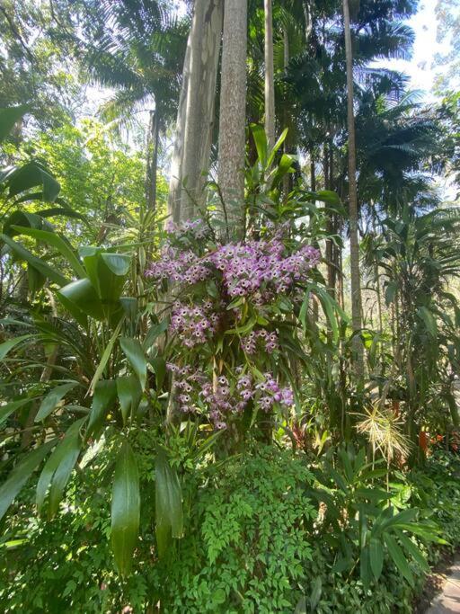 Tamborine Mountain Botanic Garden House