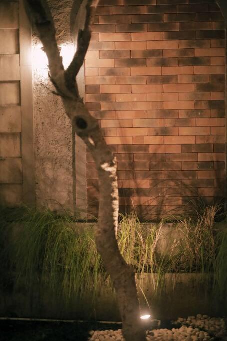 Photo 50