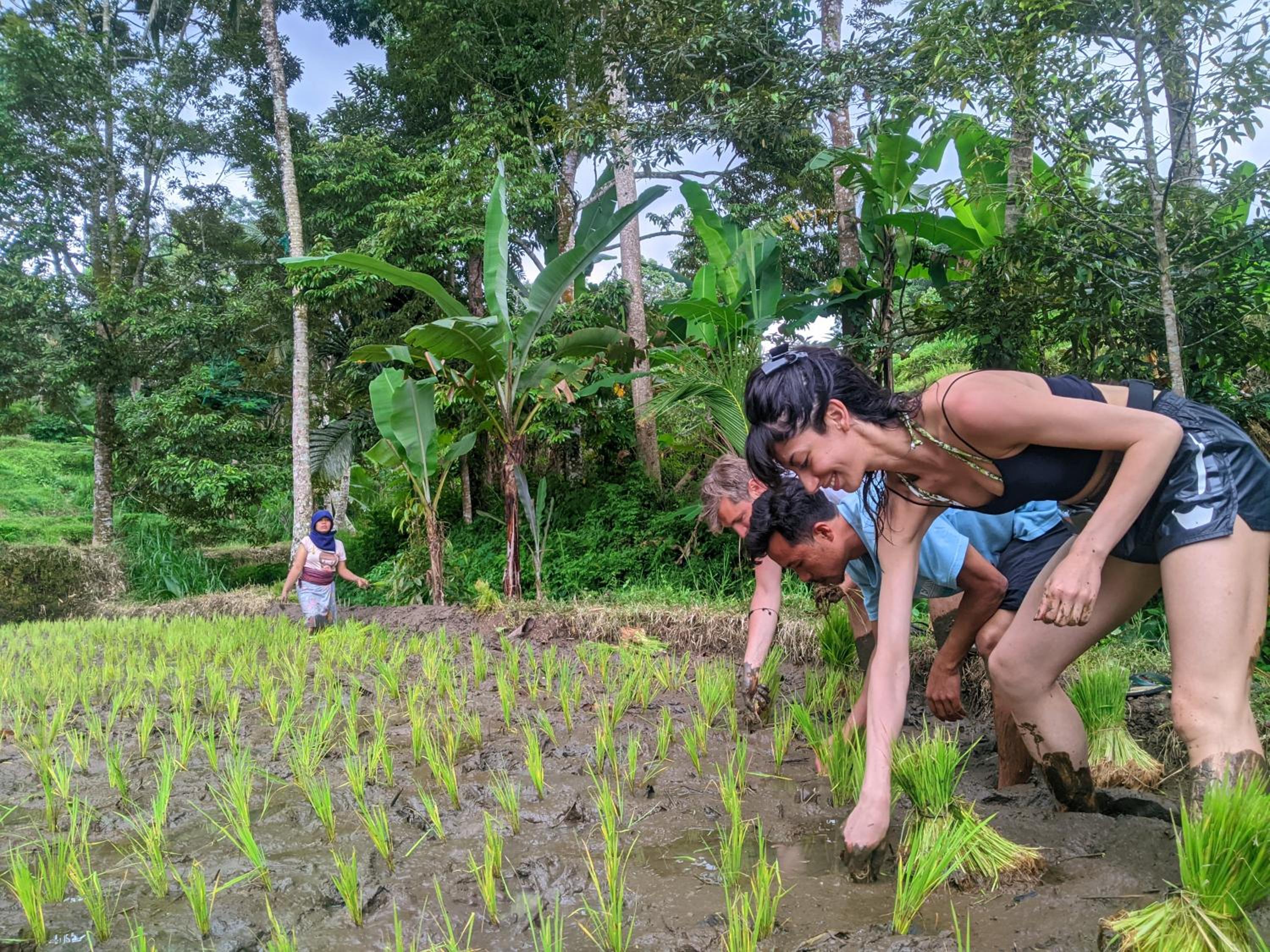 Pondok Tio