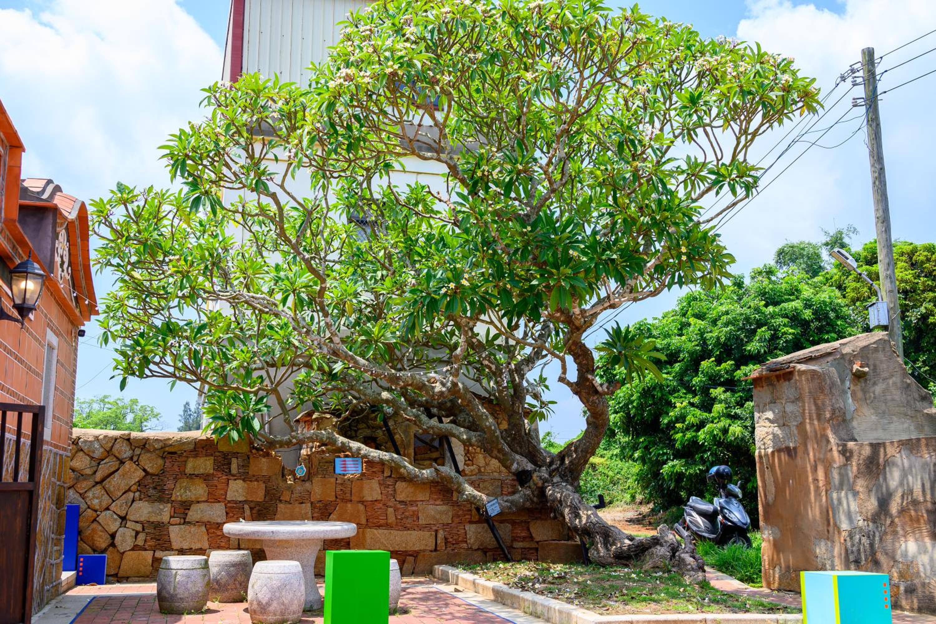 Wuzou Guesthouse