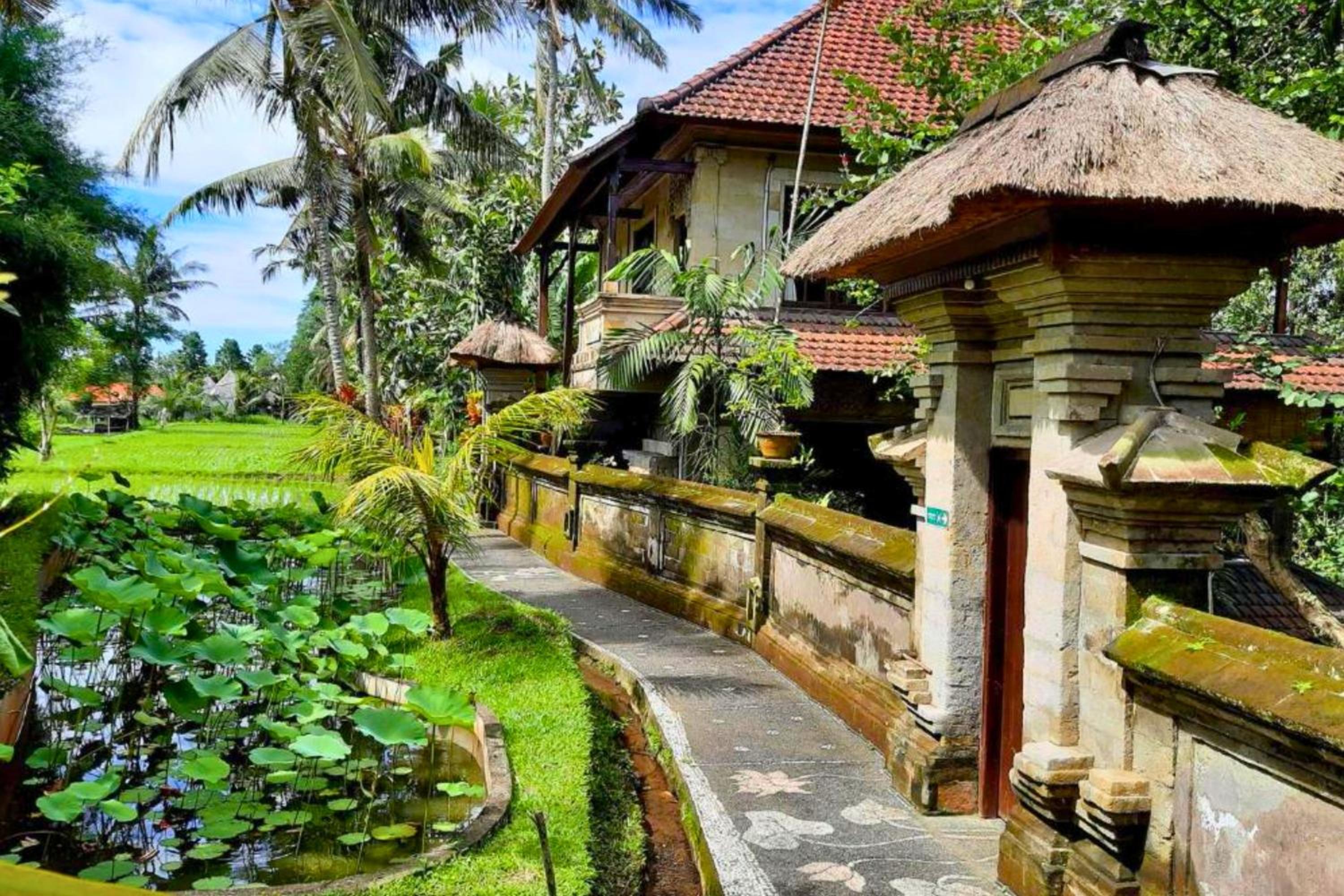 Dhara 1 BR Suite With Rice Field View view 4