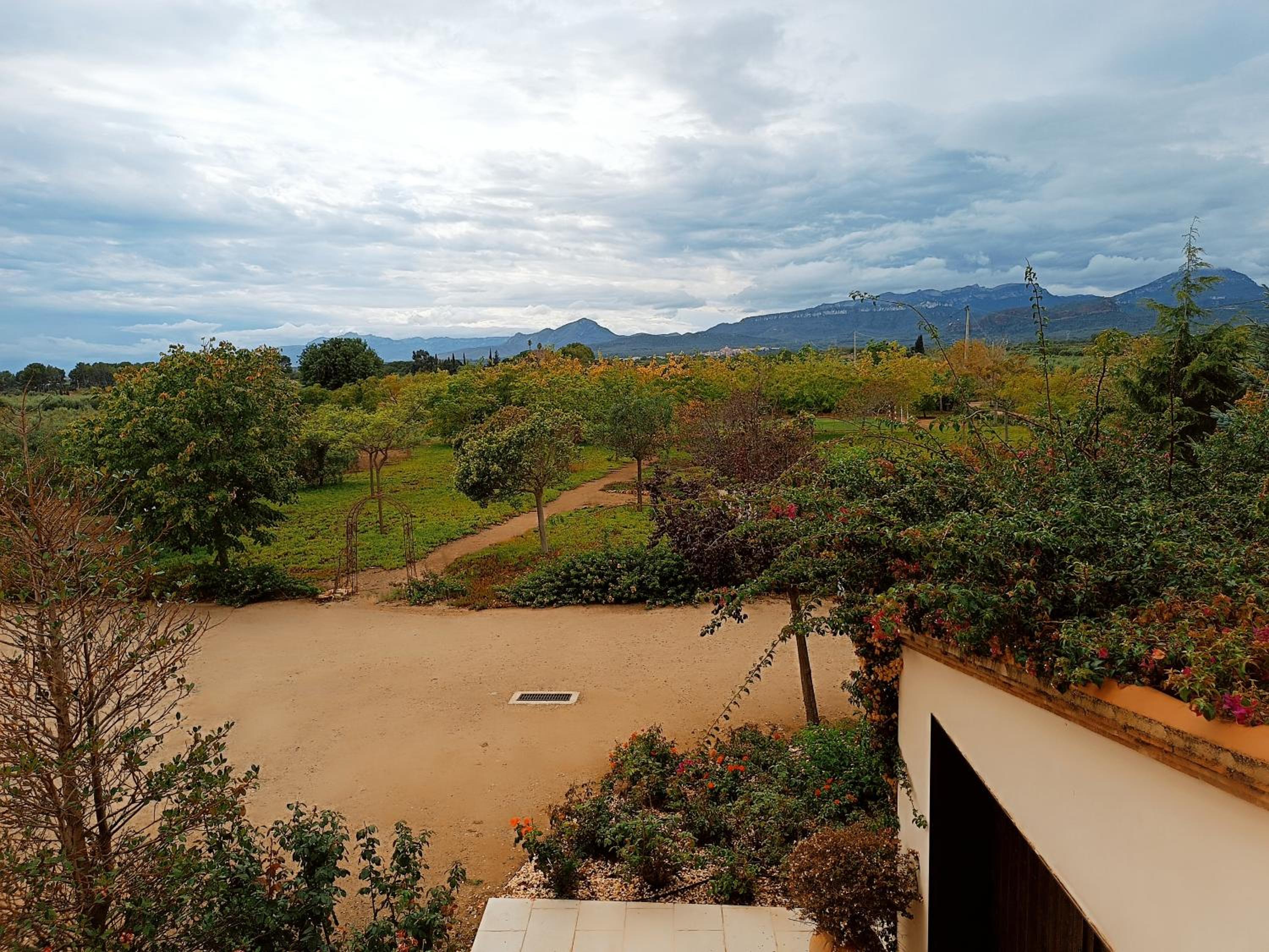 Mas Montbrio Belvedere