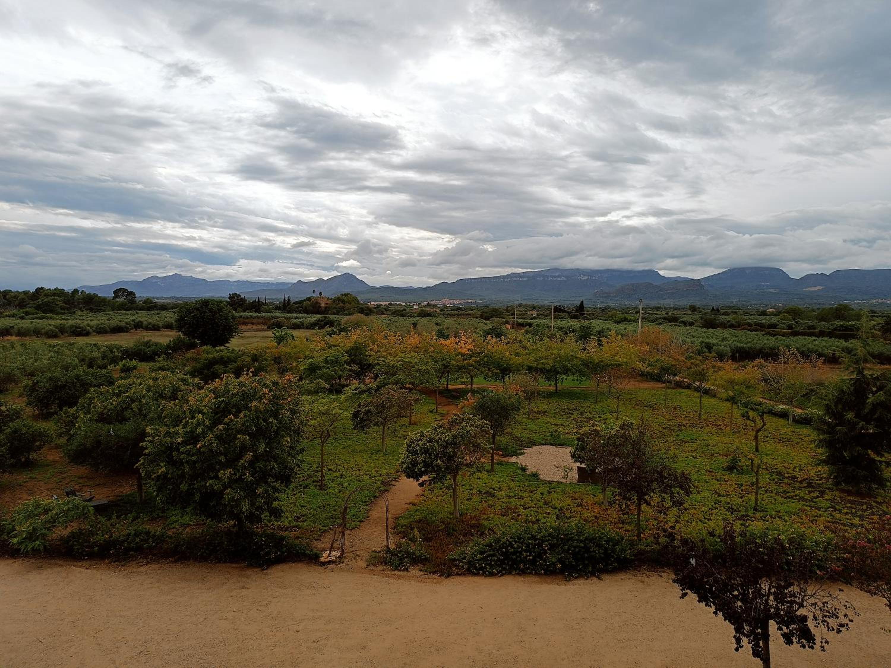 Mas Montbrio Belvedere