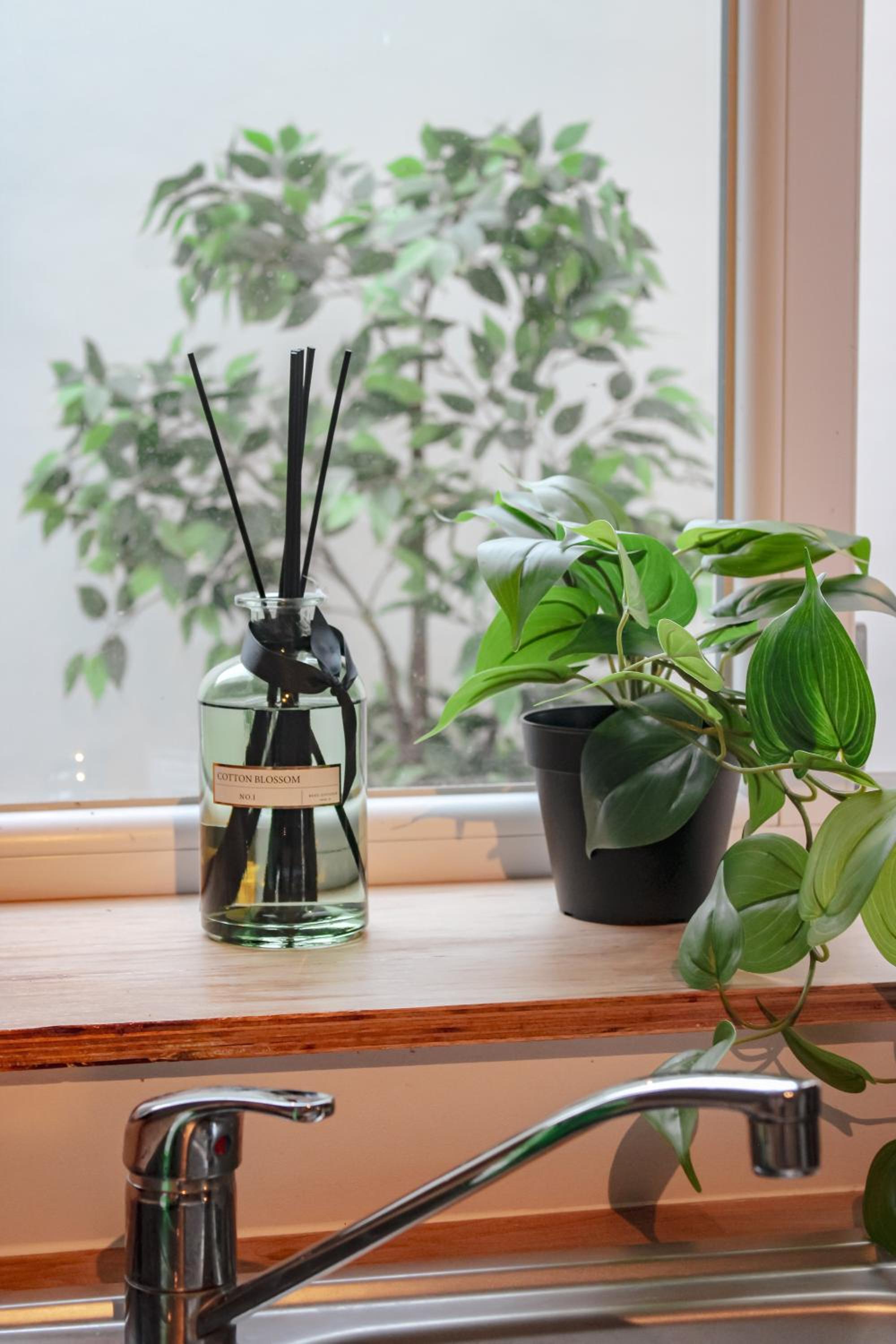 Studio Bethel